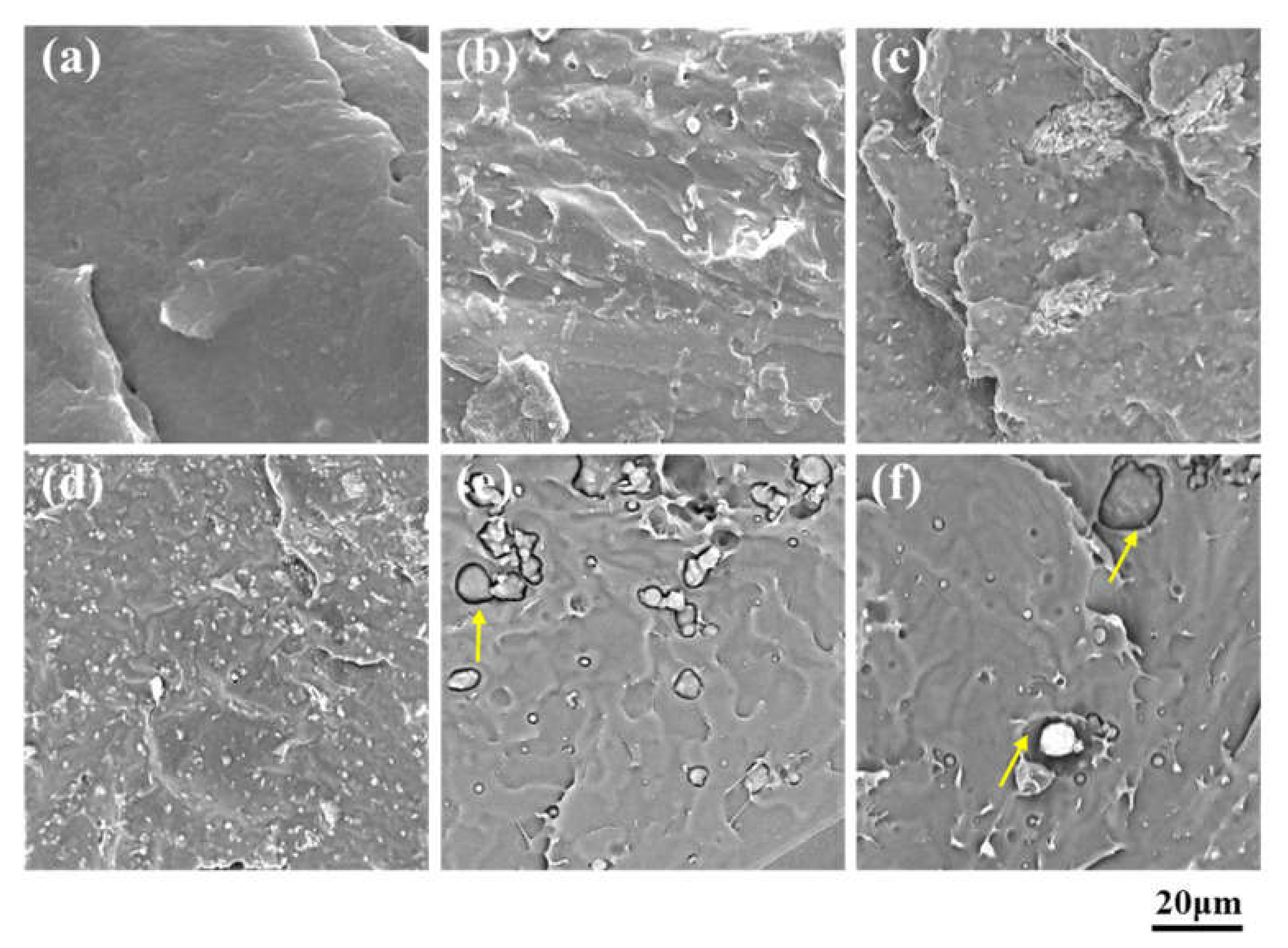 Polymers 13 03962 g002