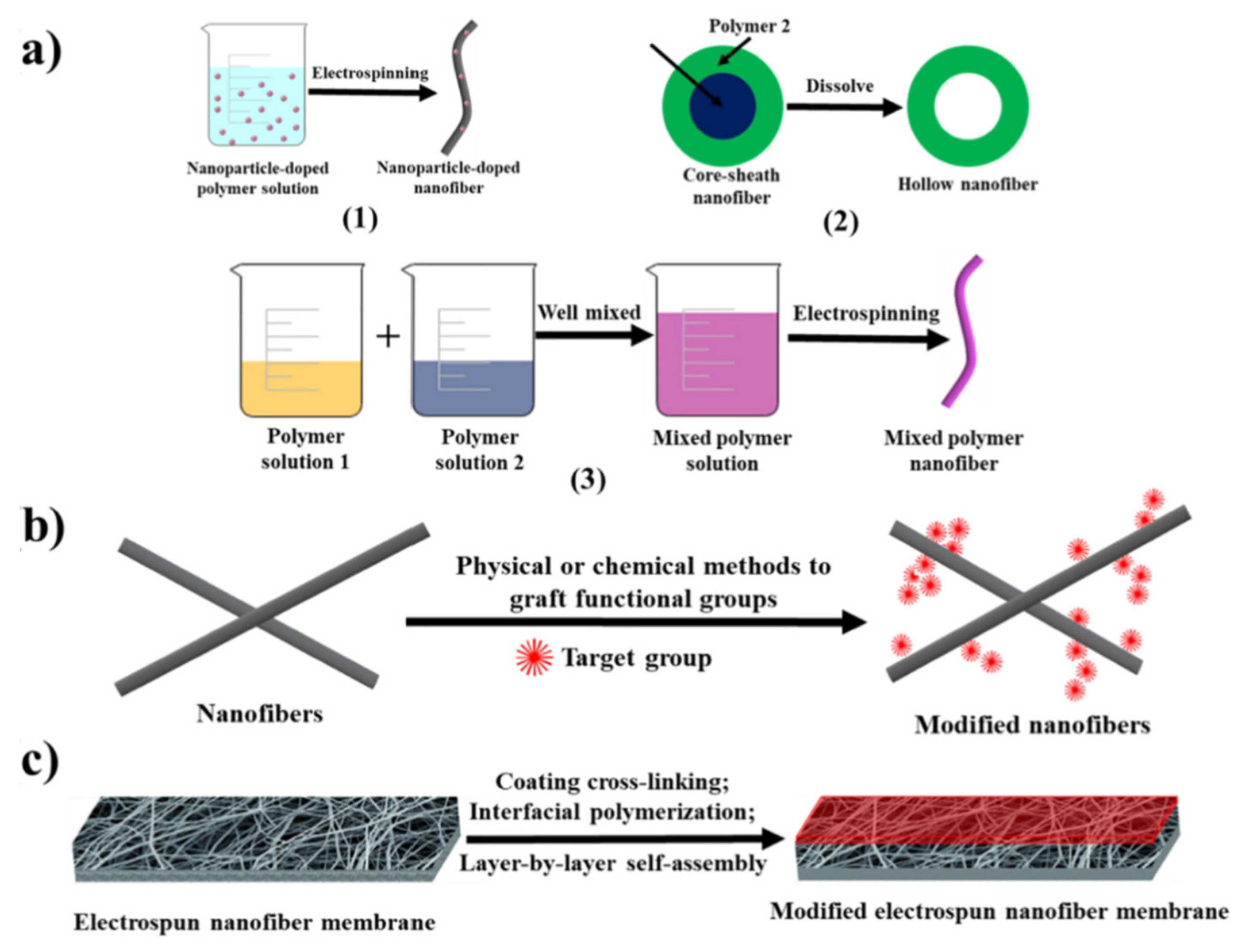 Polymers 13 03963 g013