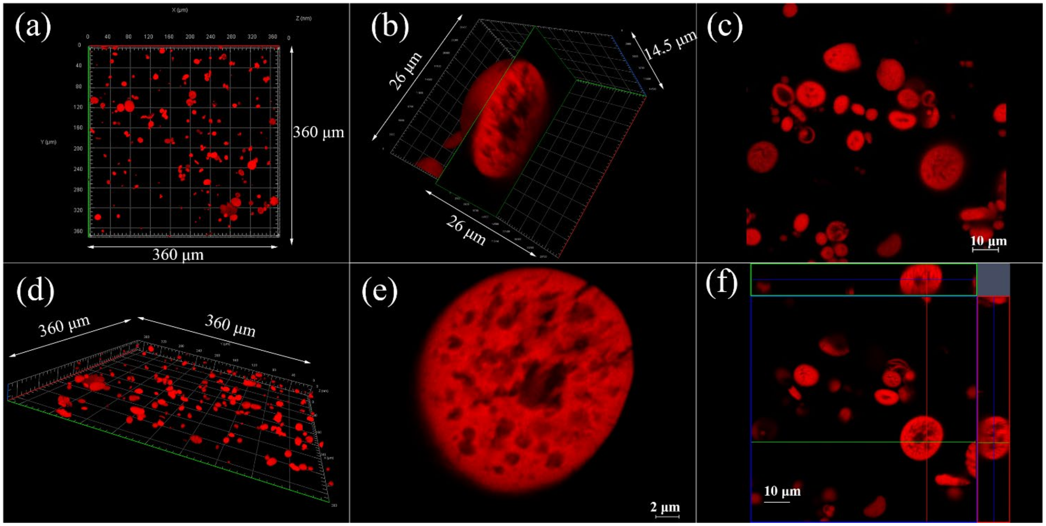 Polymers 13 03964 g009