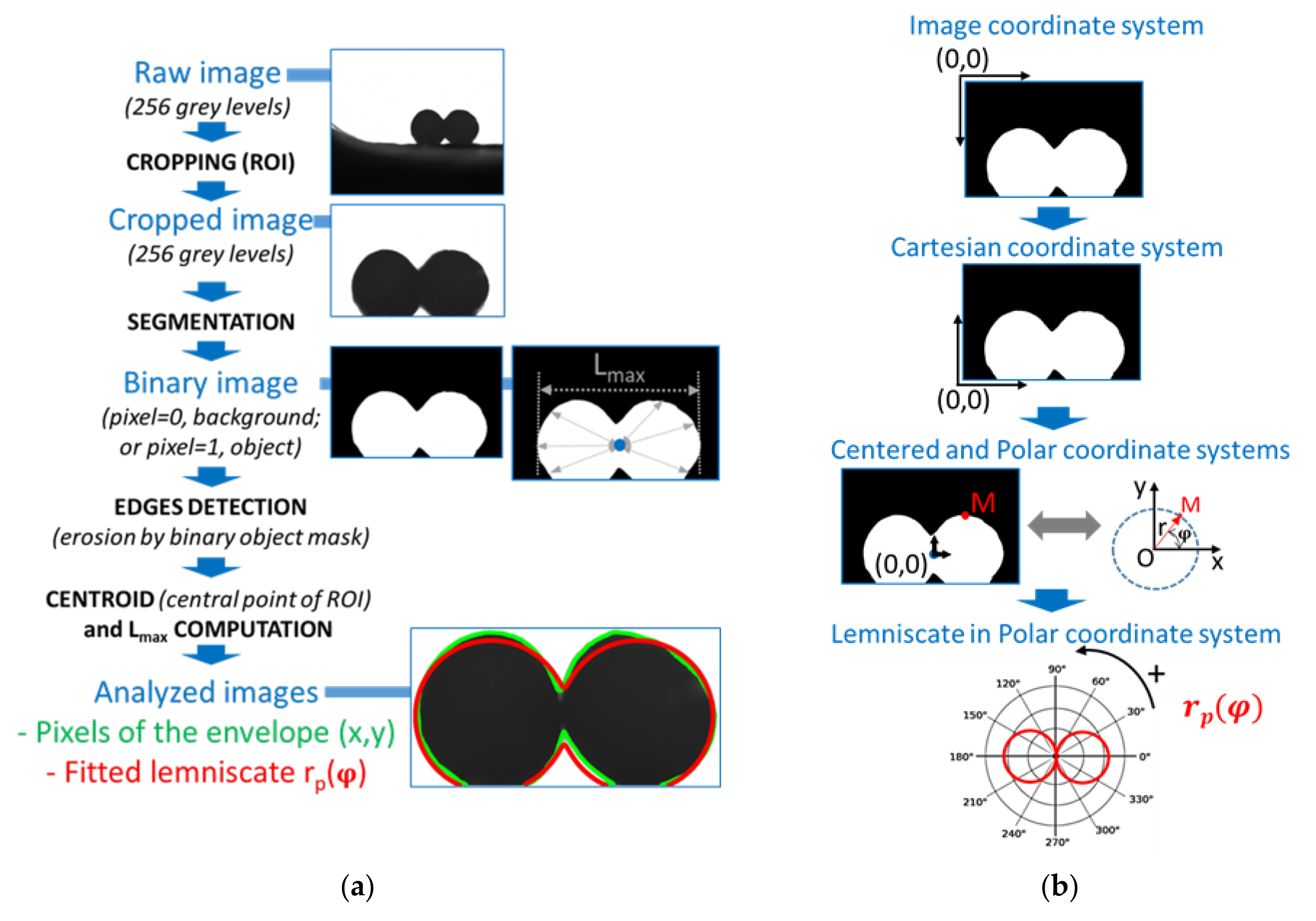 Polymers 13 03965 g002