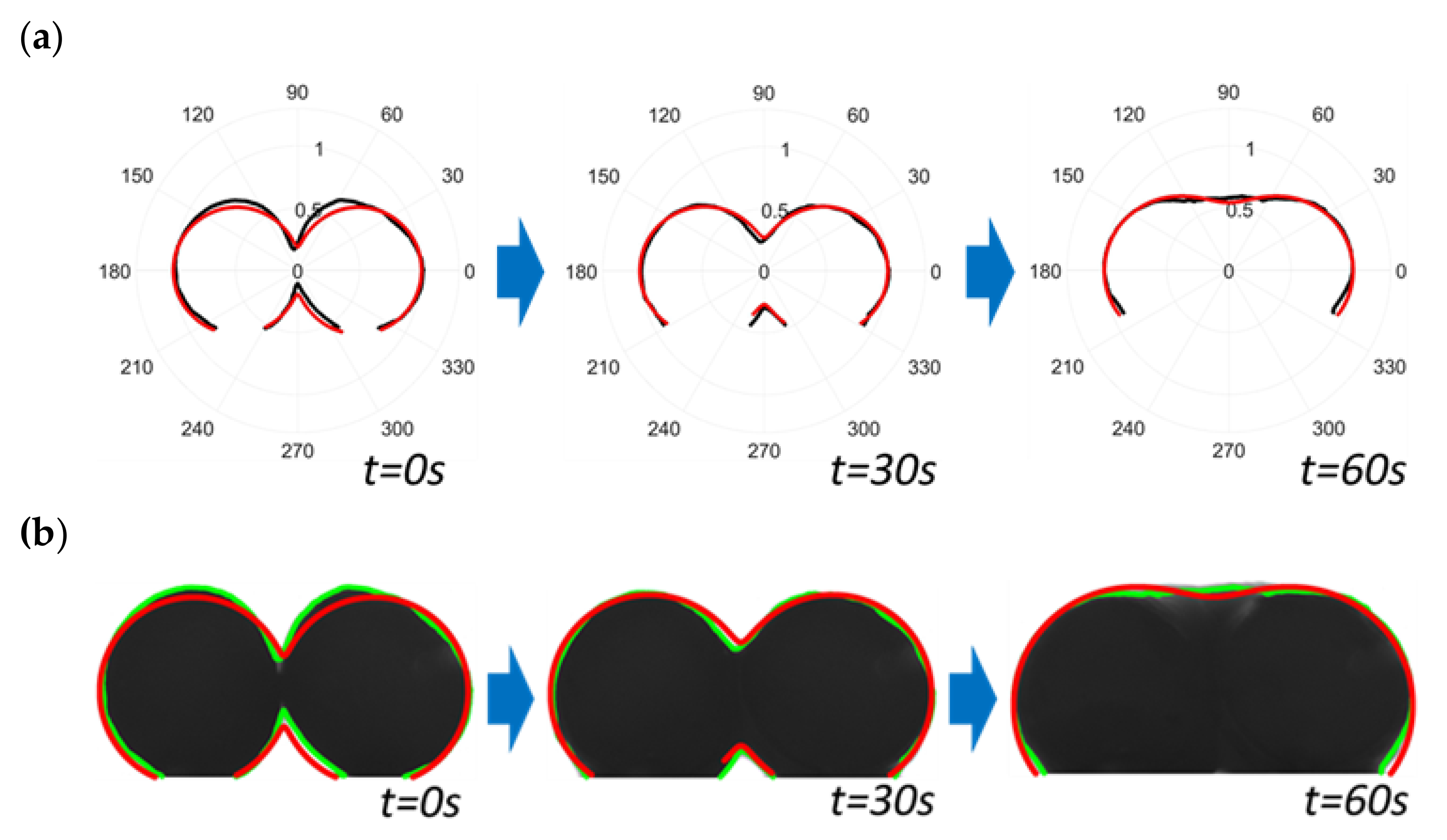 Polymers 13 03965 g003