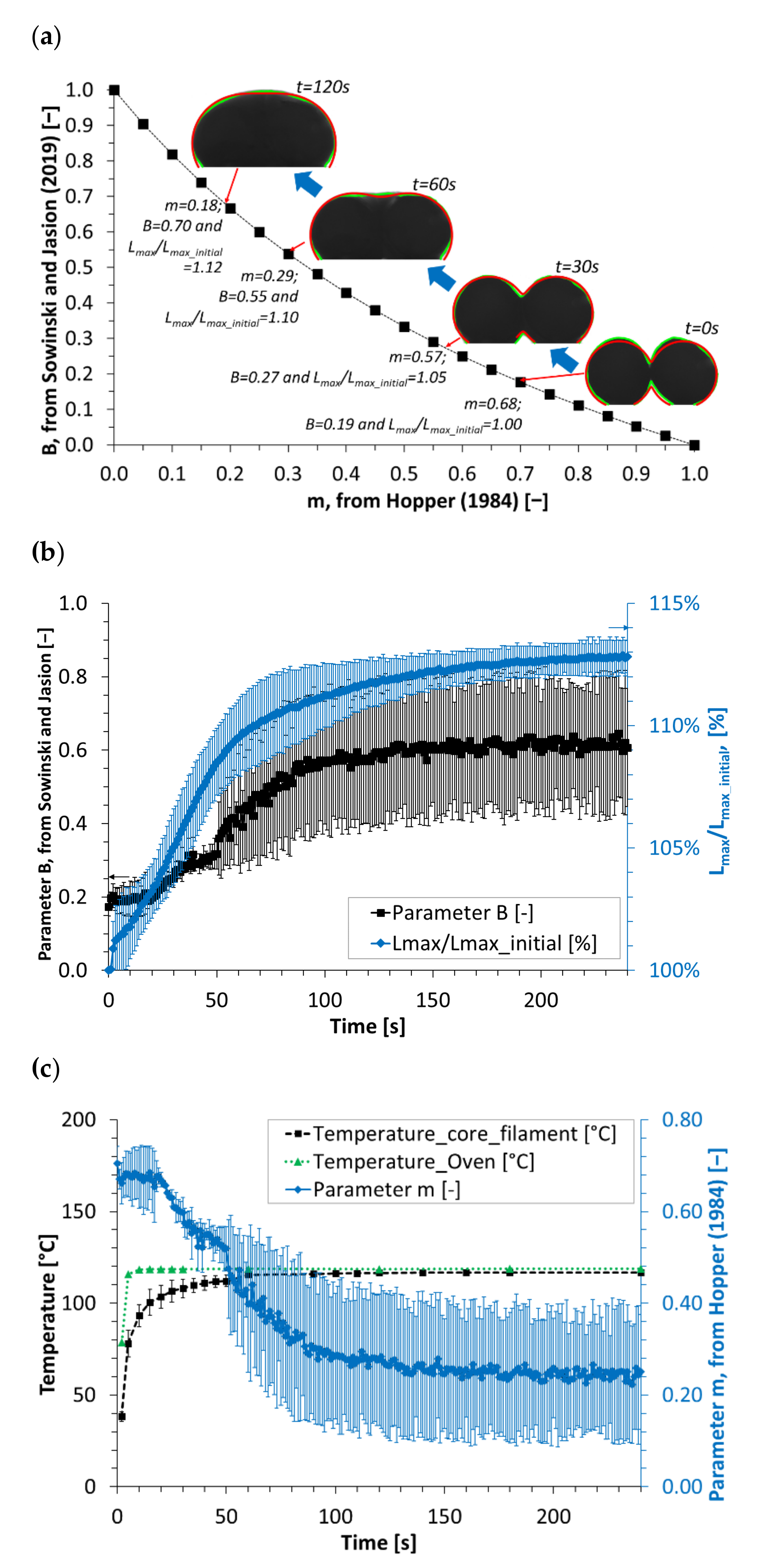 Polymers 13 03965 g004