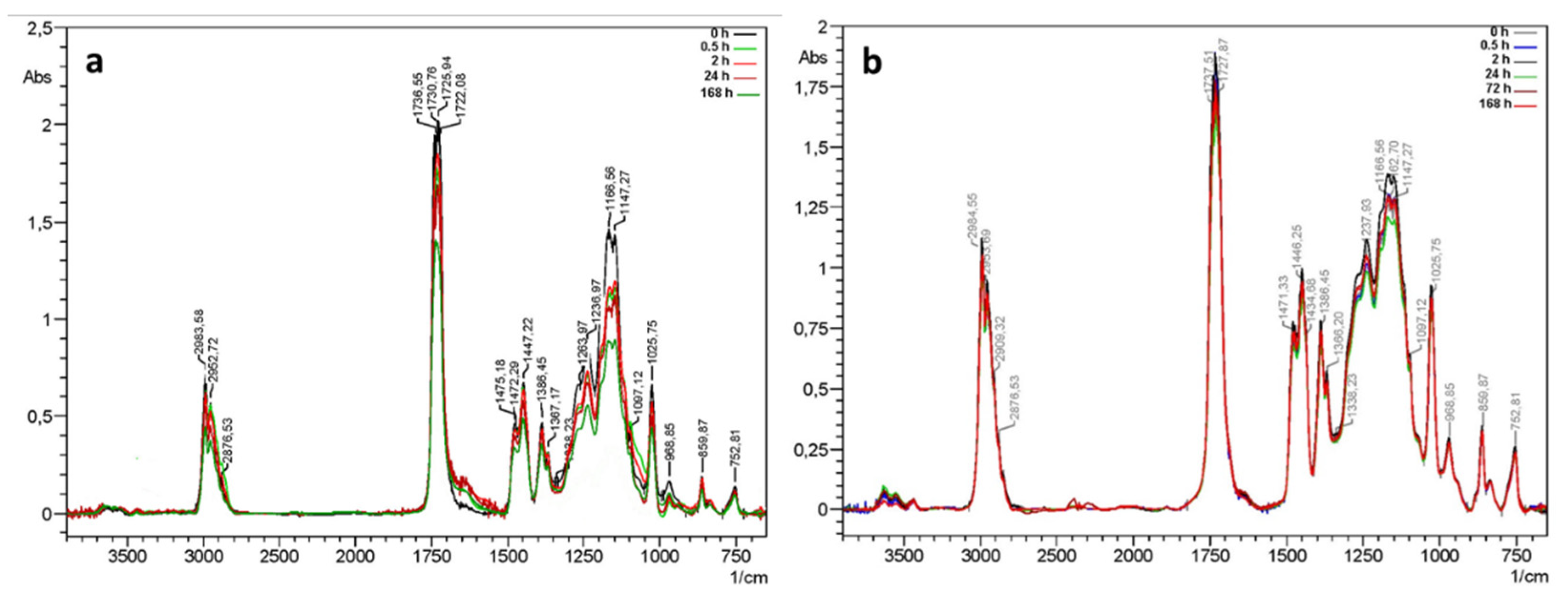 Polymers 13 03966 g001