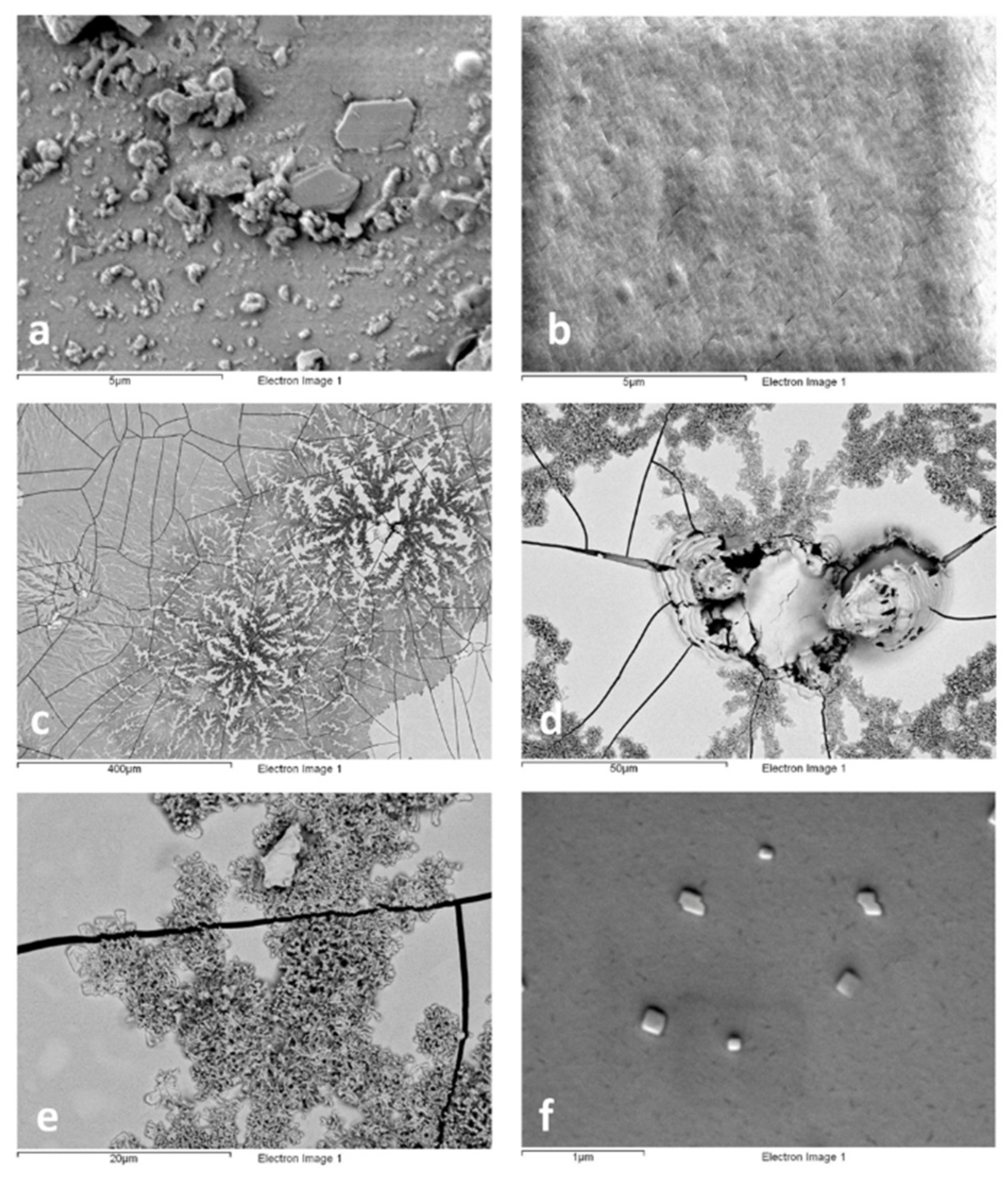 Polymers 13 03966 g002