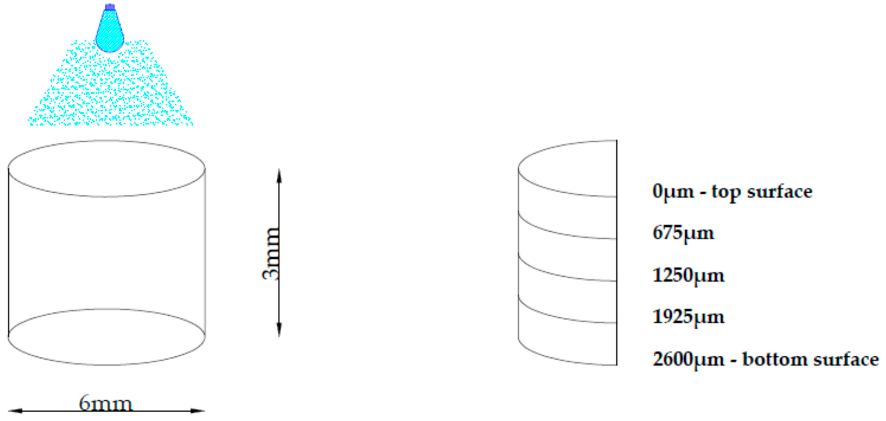 Polymers 13 03972 g005