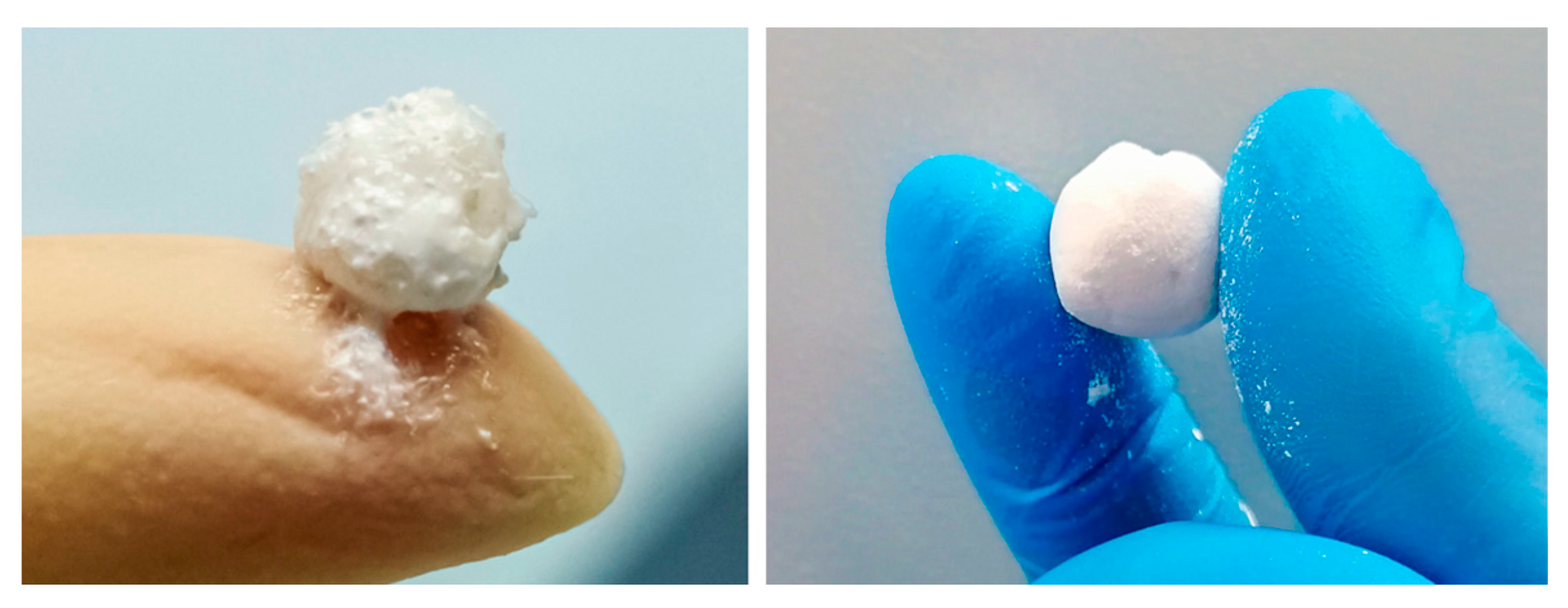 Polymers 13 03974 g002