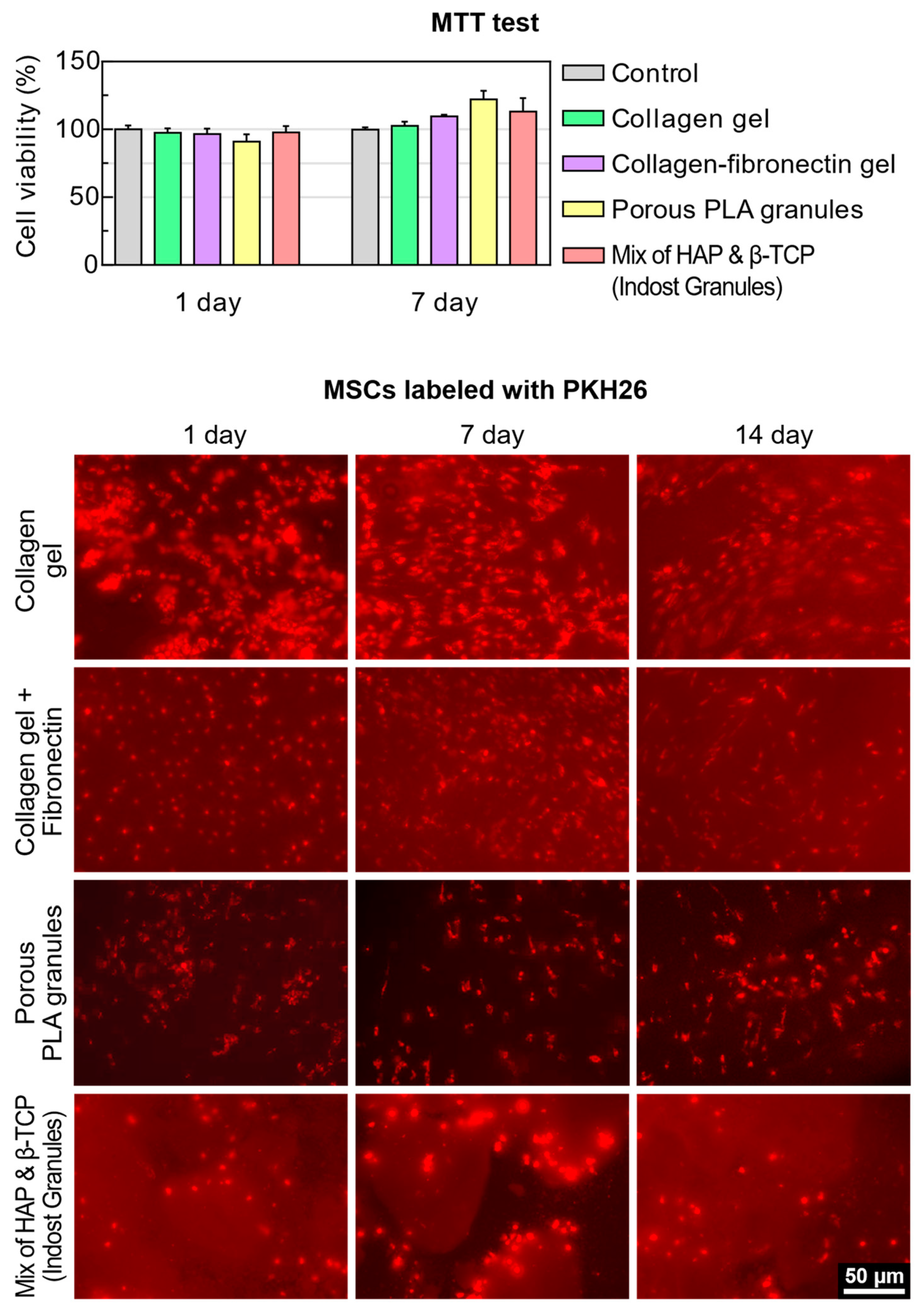 Polymers 13 03974 g003
