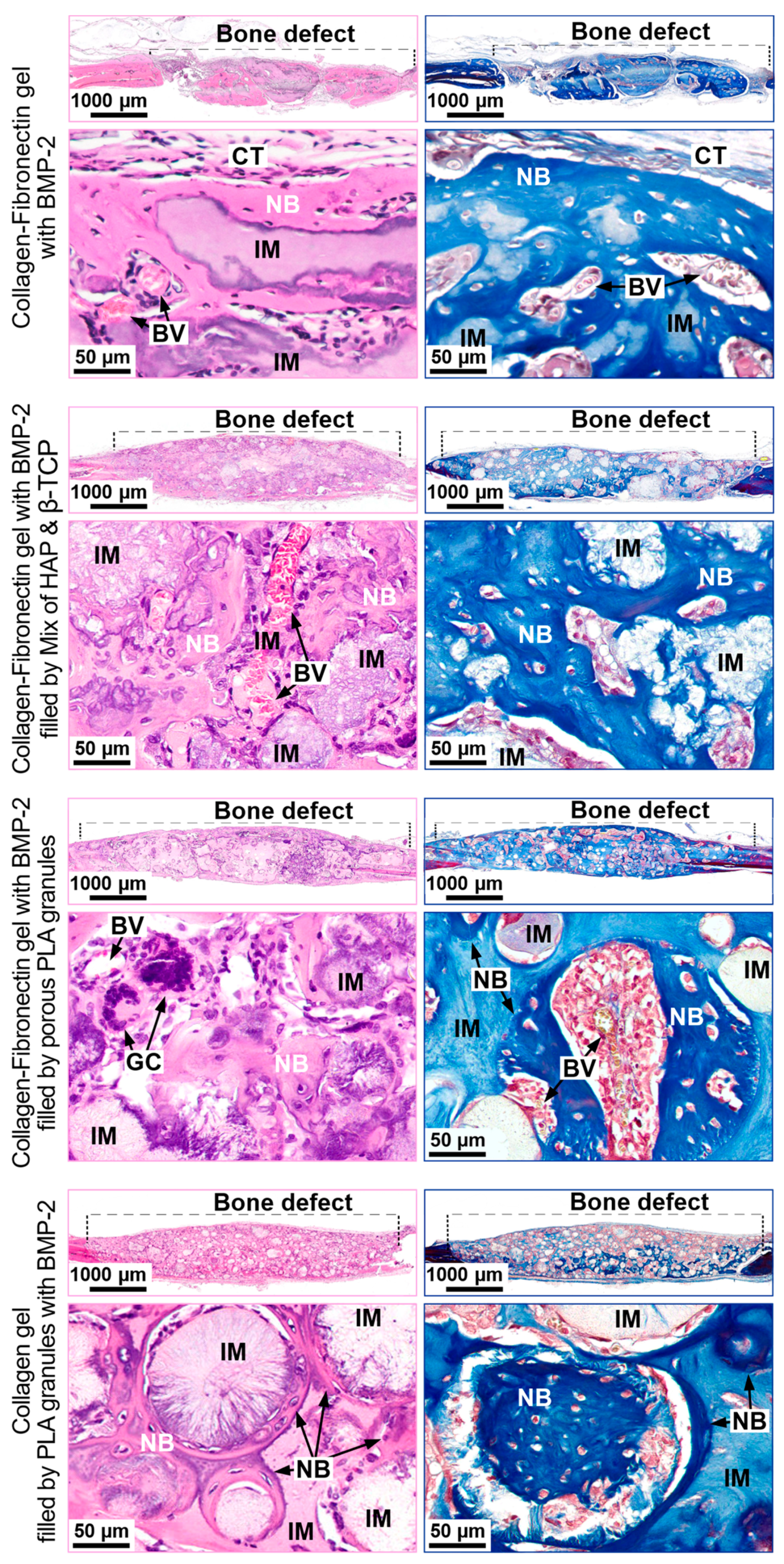 Polymers 13 03974 g005