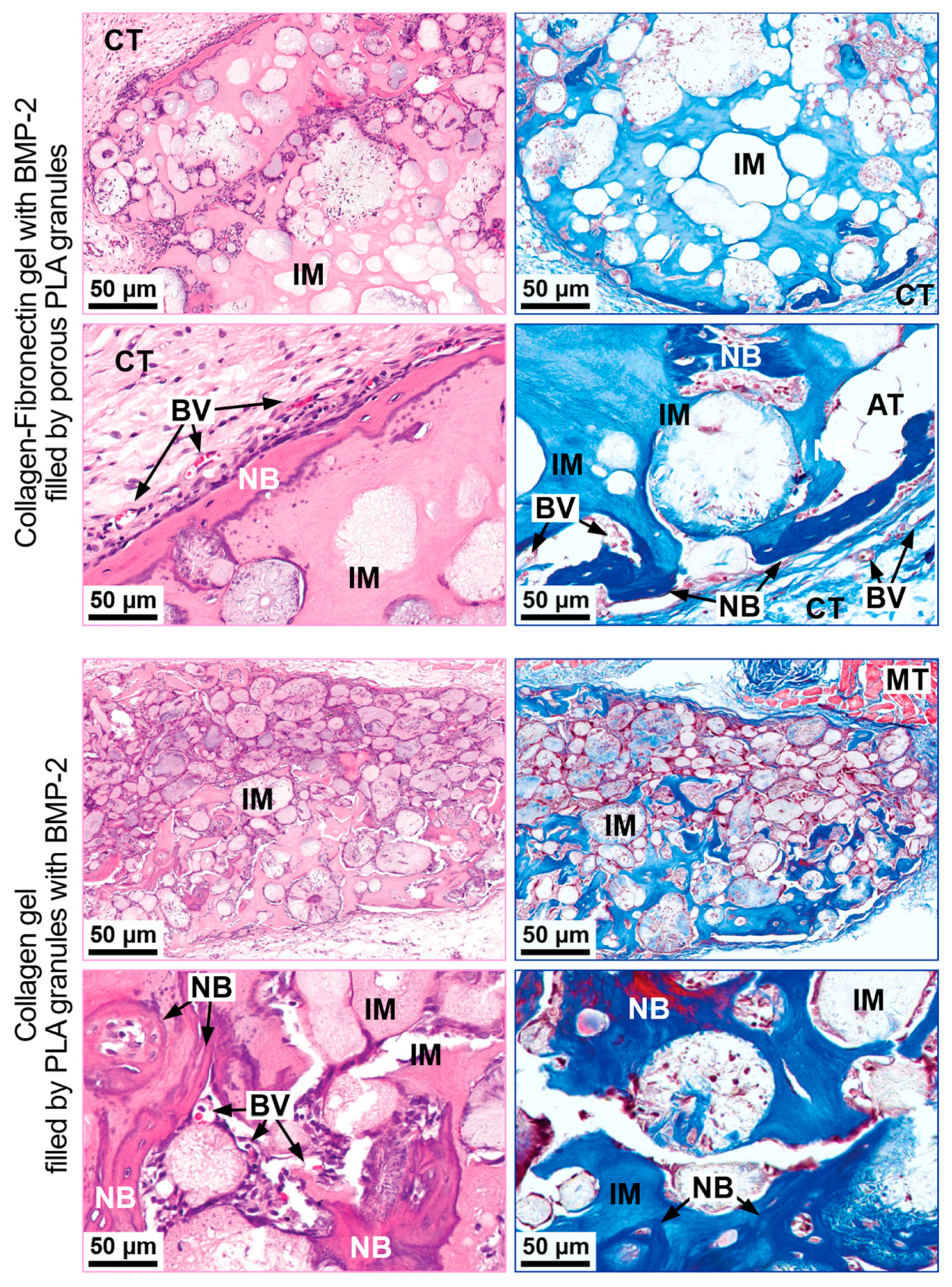 Polymers 13 03974 g006
