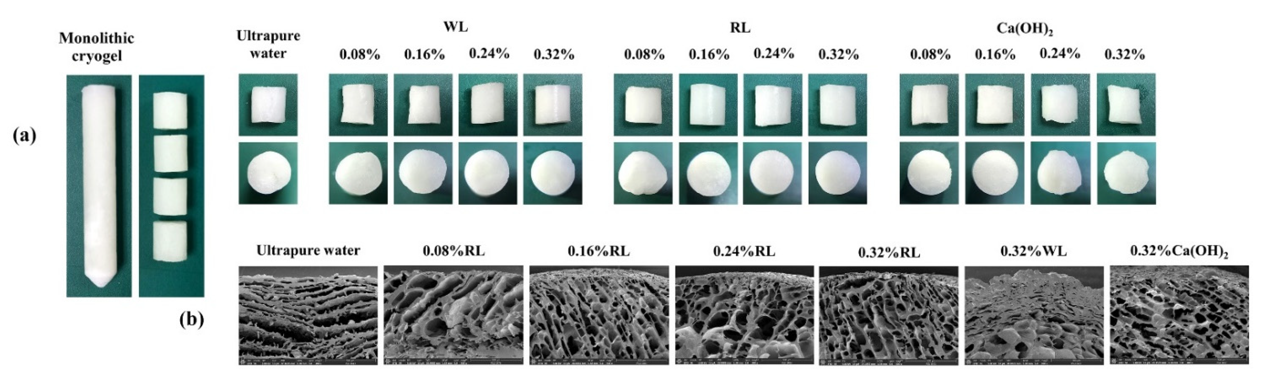 Polymers 13 03975 g001