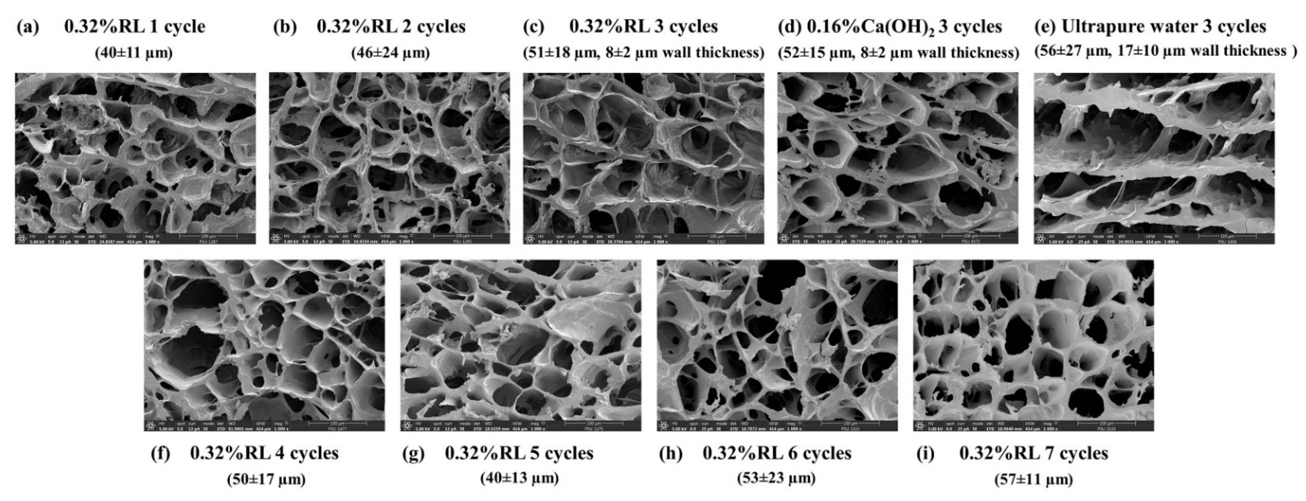 Polymers 13 03975 g003