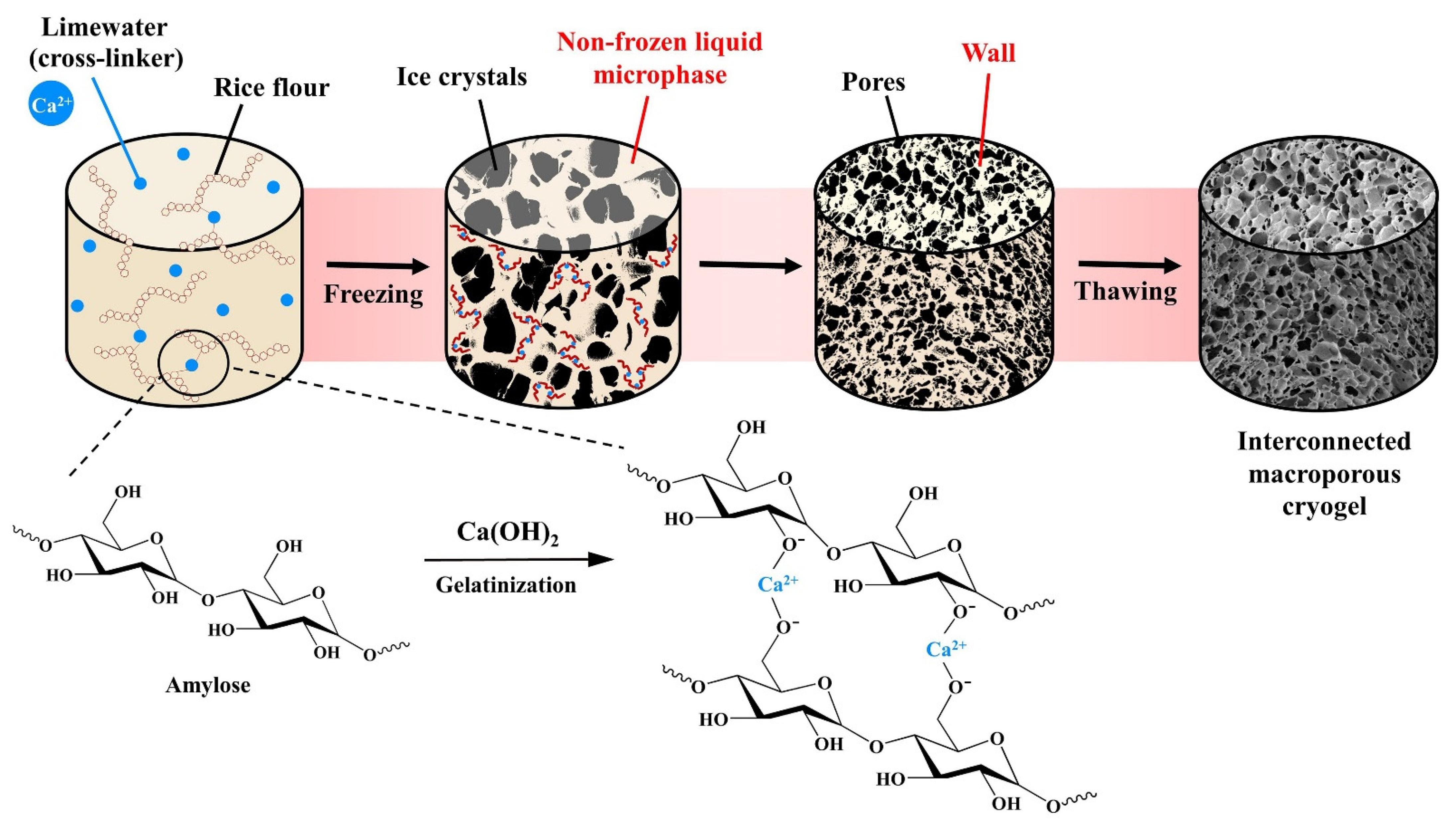 Polymers 13 03975 g004