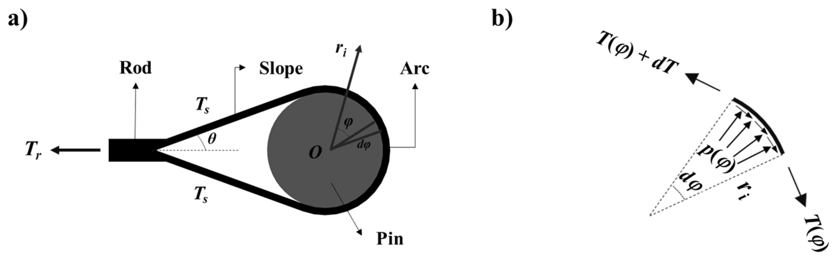 Polymers 13 03976 g003