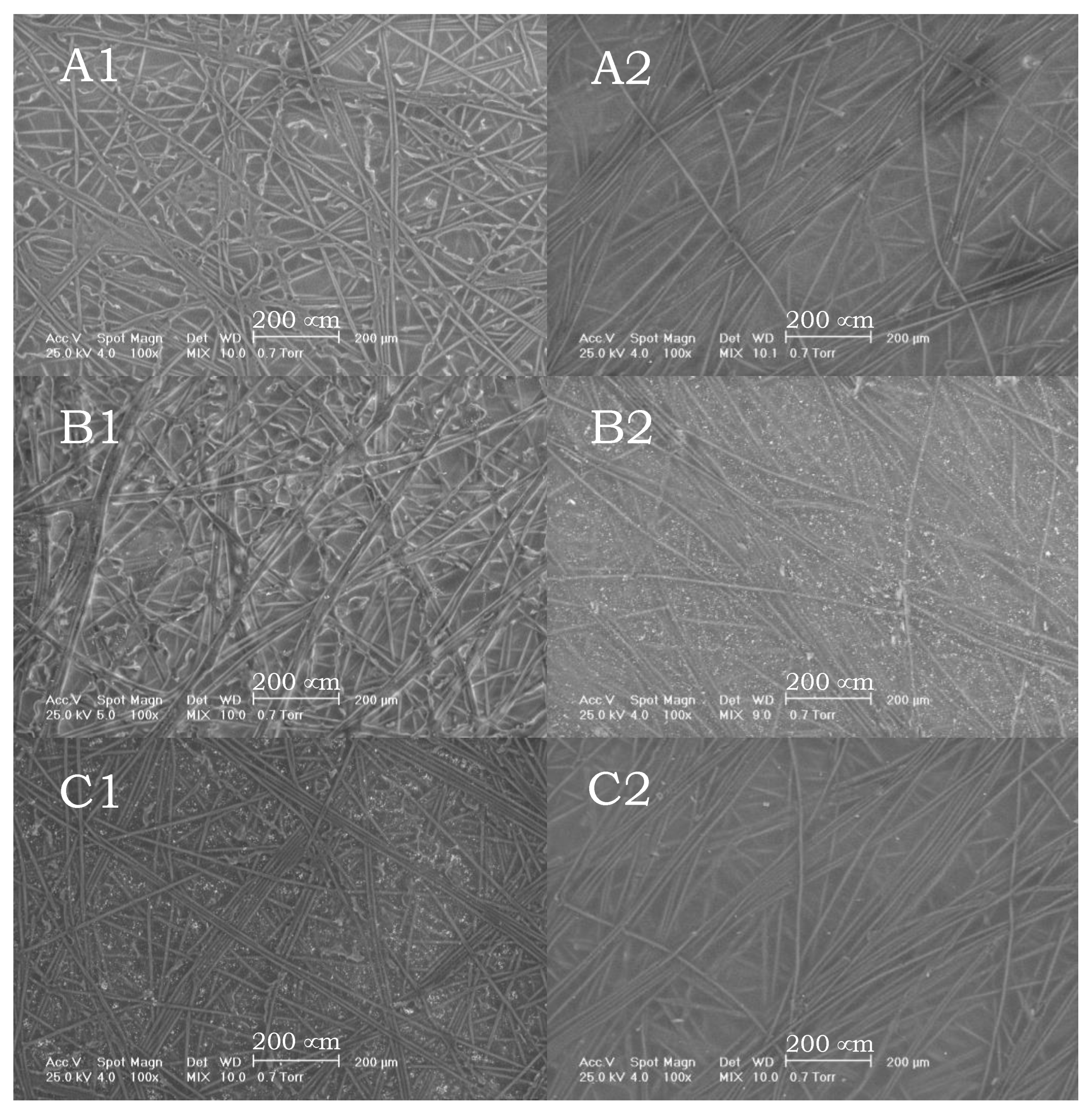 Polymers 13 03978 g002
