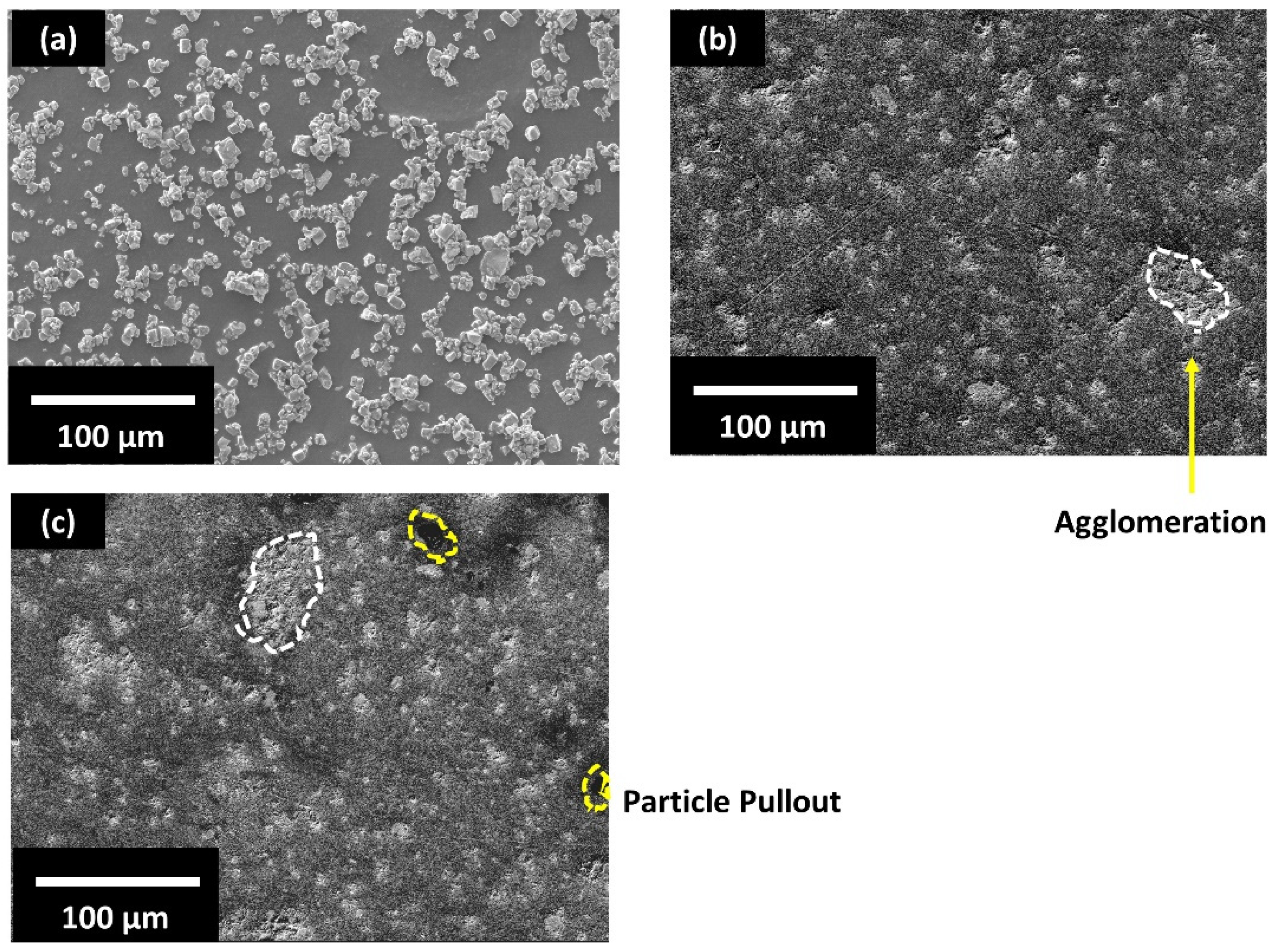Polymers 13 03979 g002 Polymers 13 03979 g002