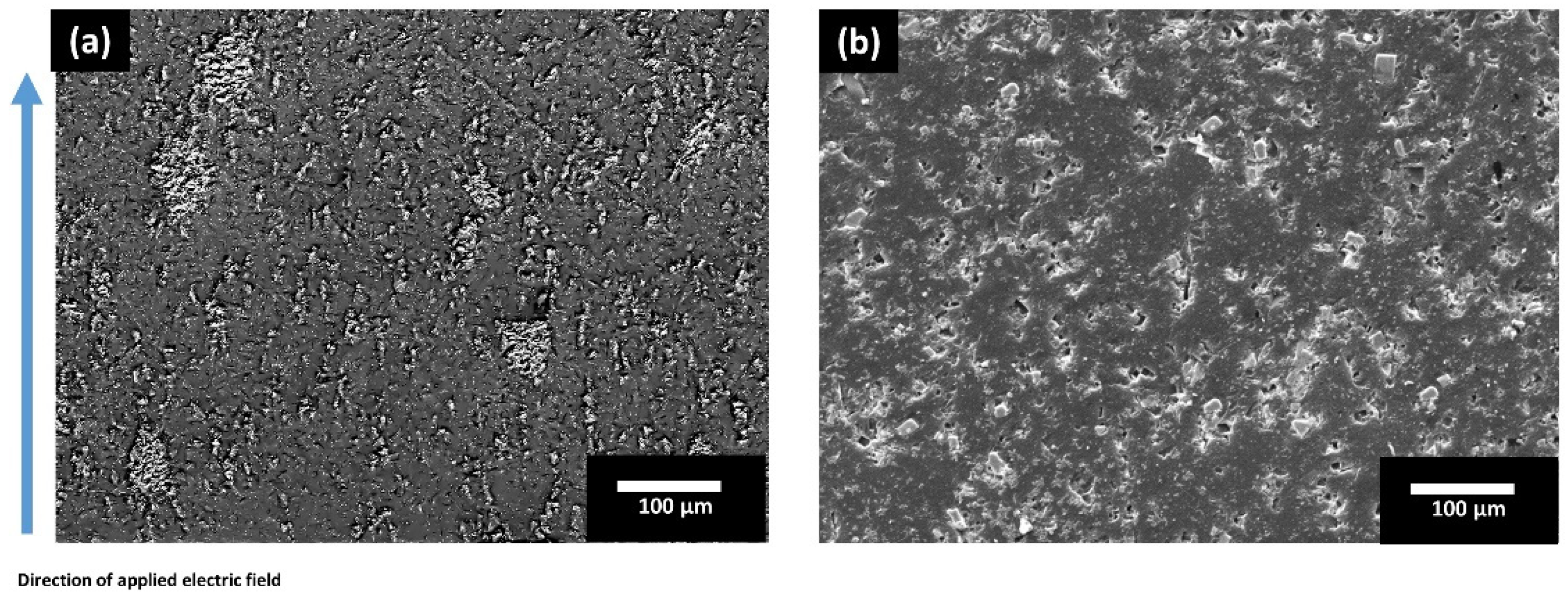 Polymers 13 03979 g006 Polymers 13 03979 g006
