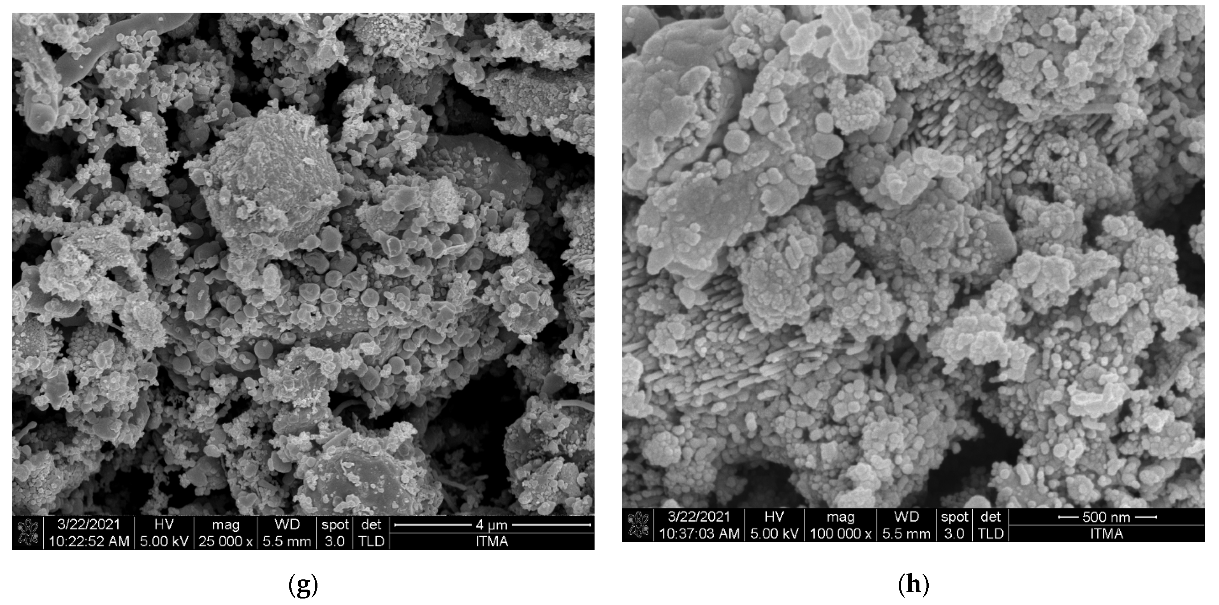 Polymers 13 03980 g004b