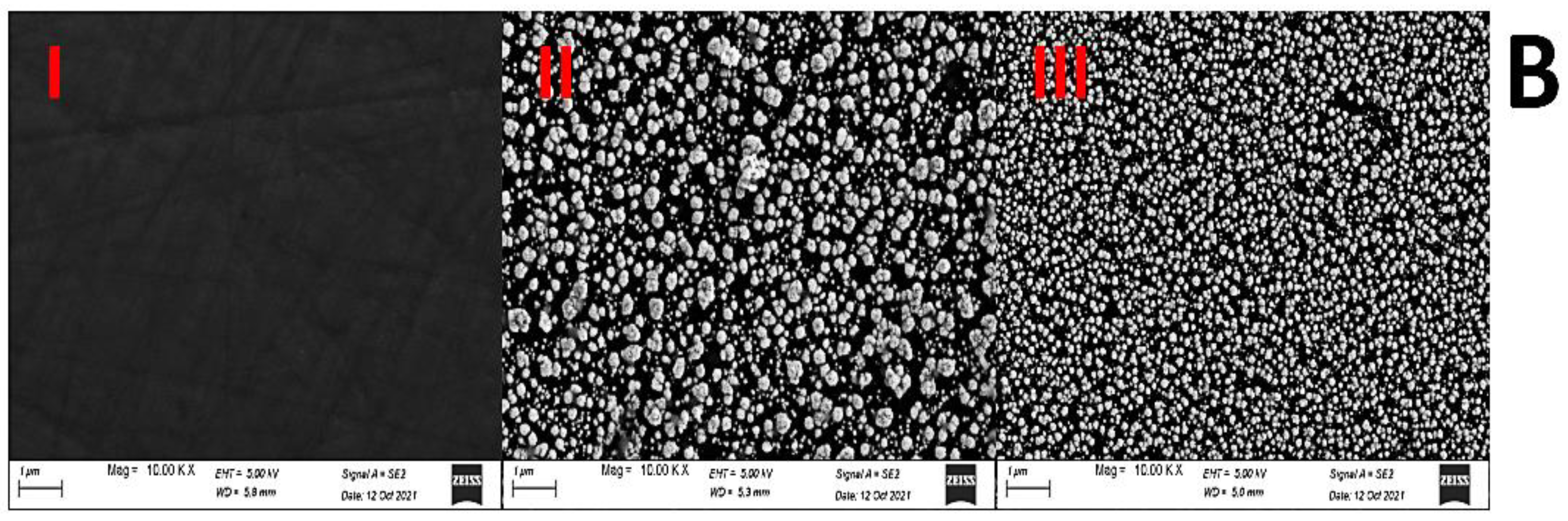 Polymers 13 03981 g003b