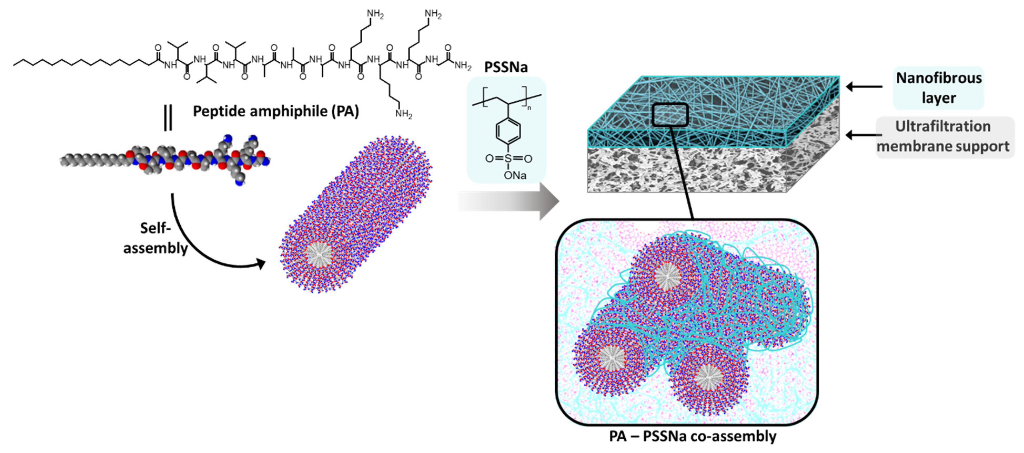 Polymers 13 03983 g001