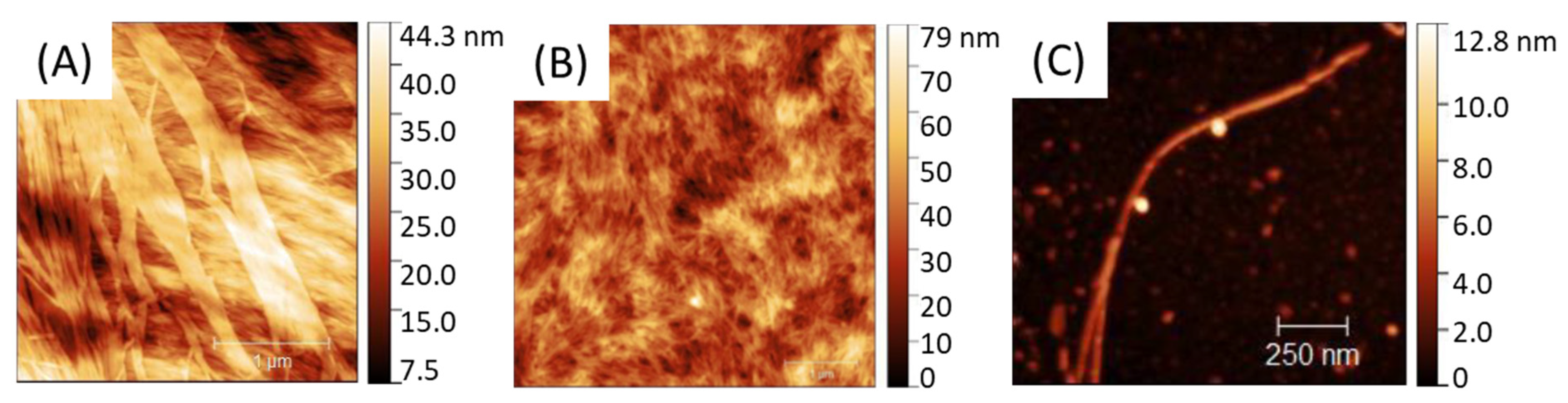 Polymers 13 03983 g002