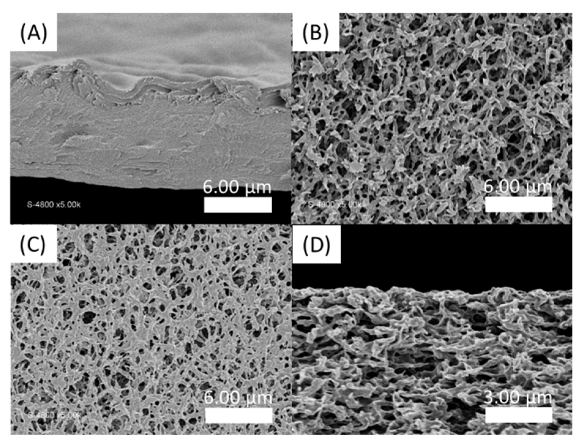 Polymers 13 03983 g008