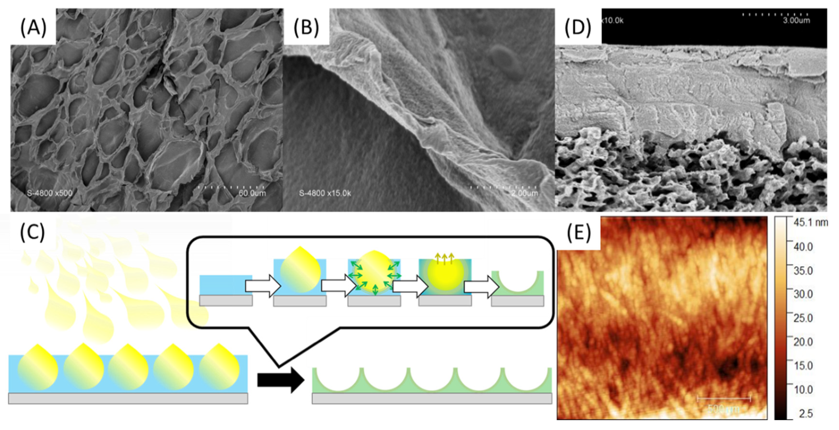 Polymers 13 03983 g009