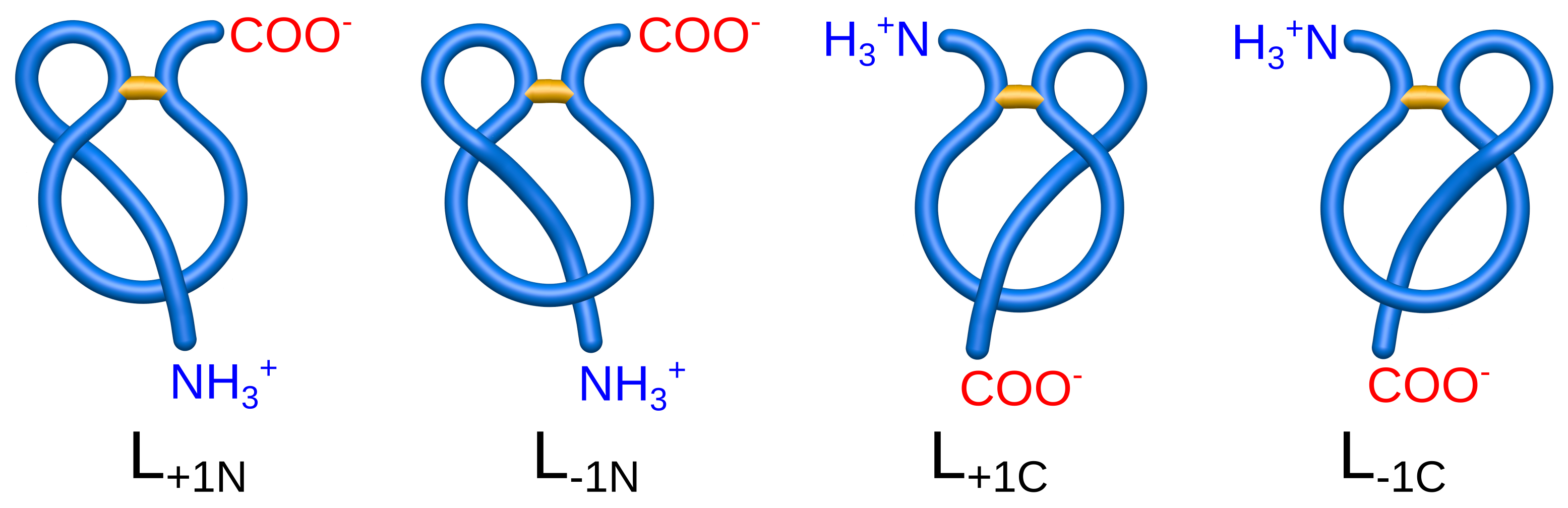 Polymers 13 03988 g003