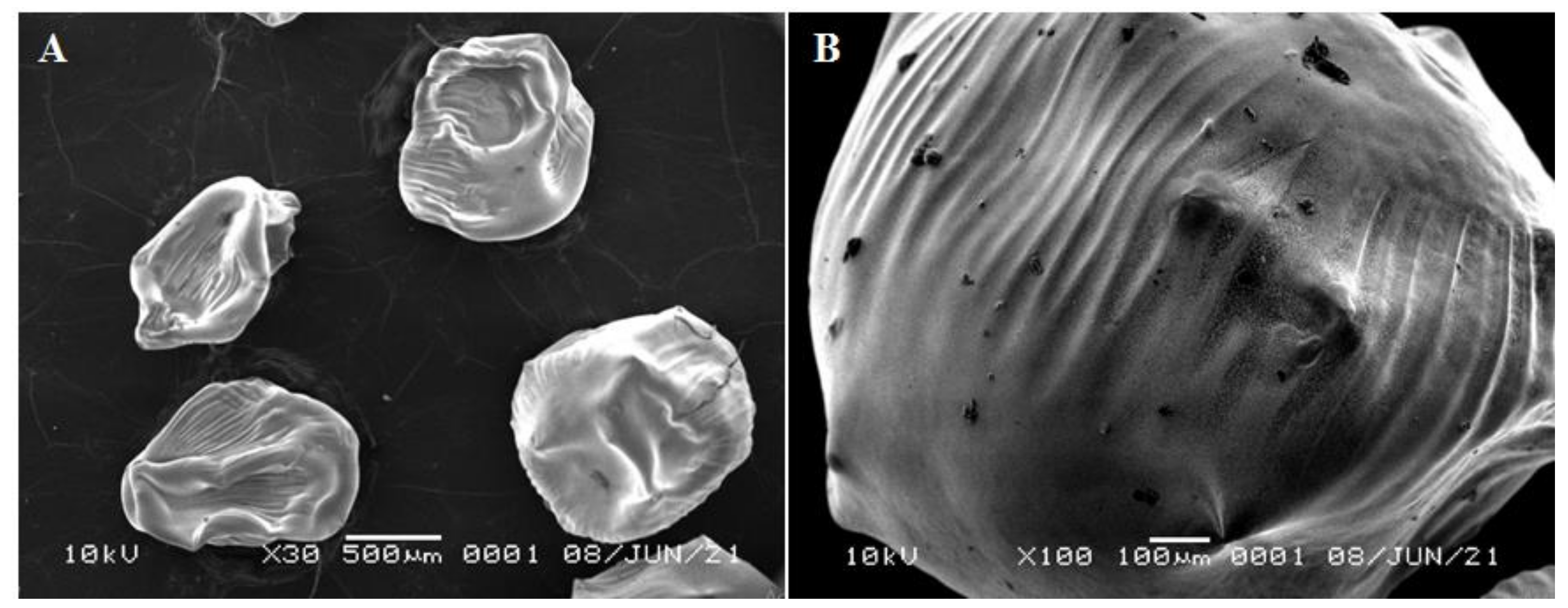 Polymers 13 03990 g006