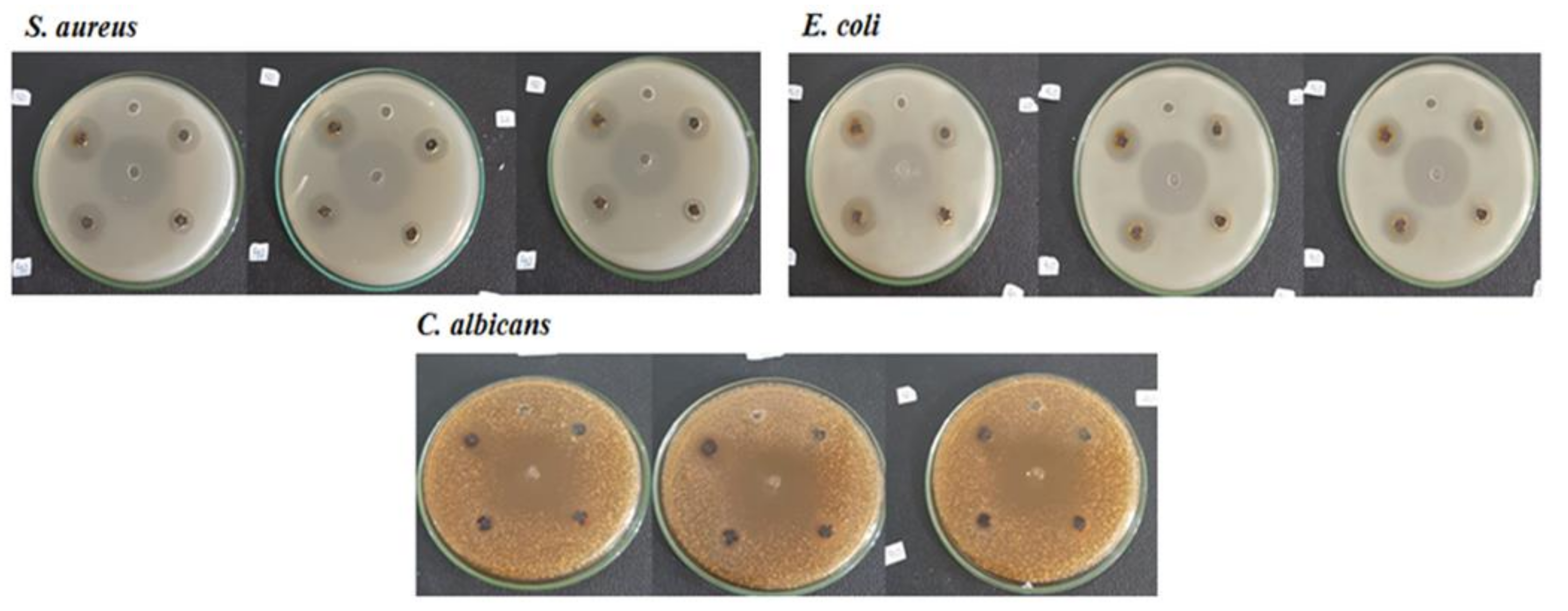 Polymers 13 03990 g008