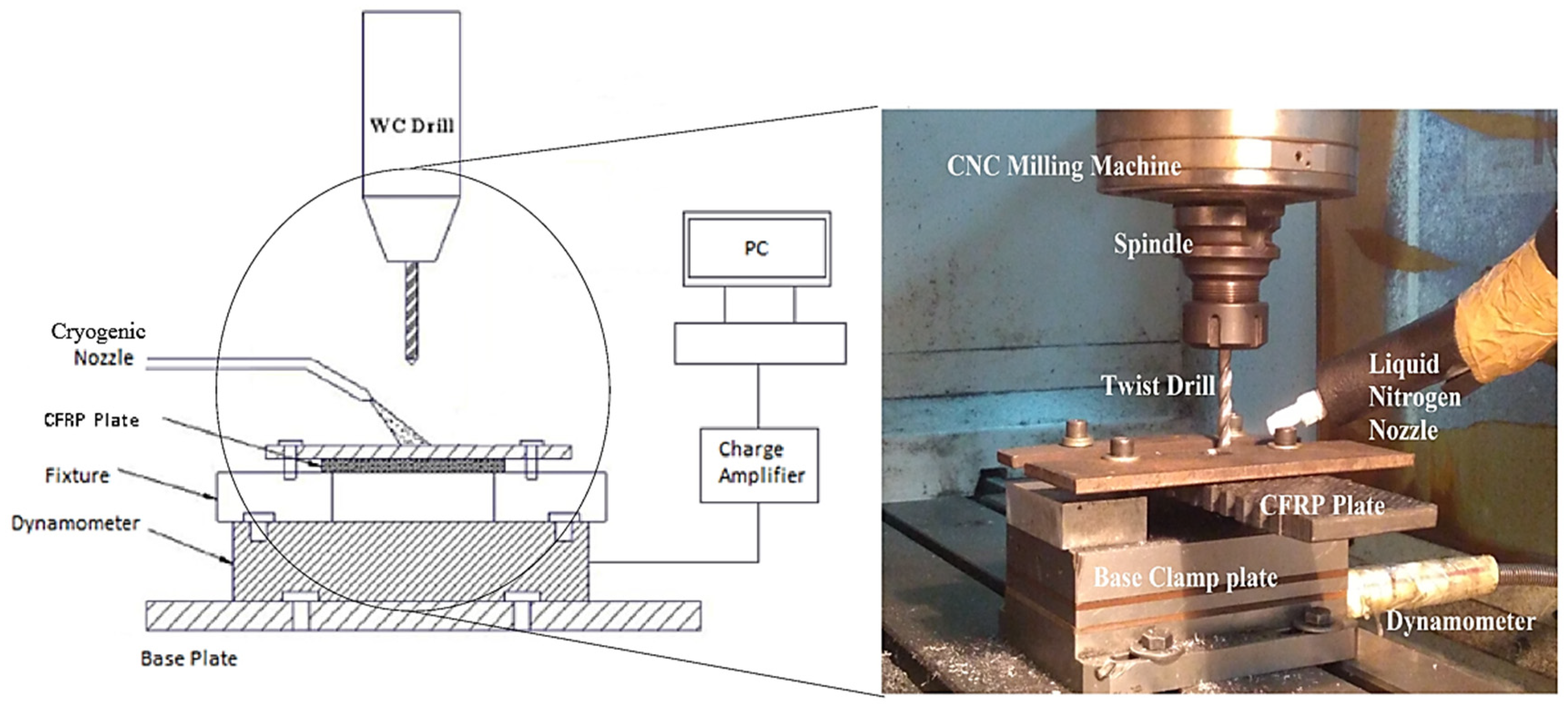 Polymers 13 03995 g004