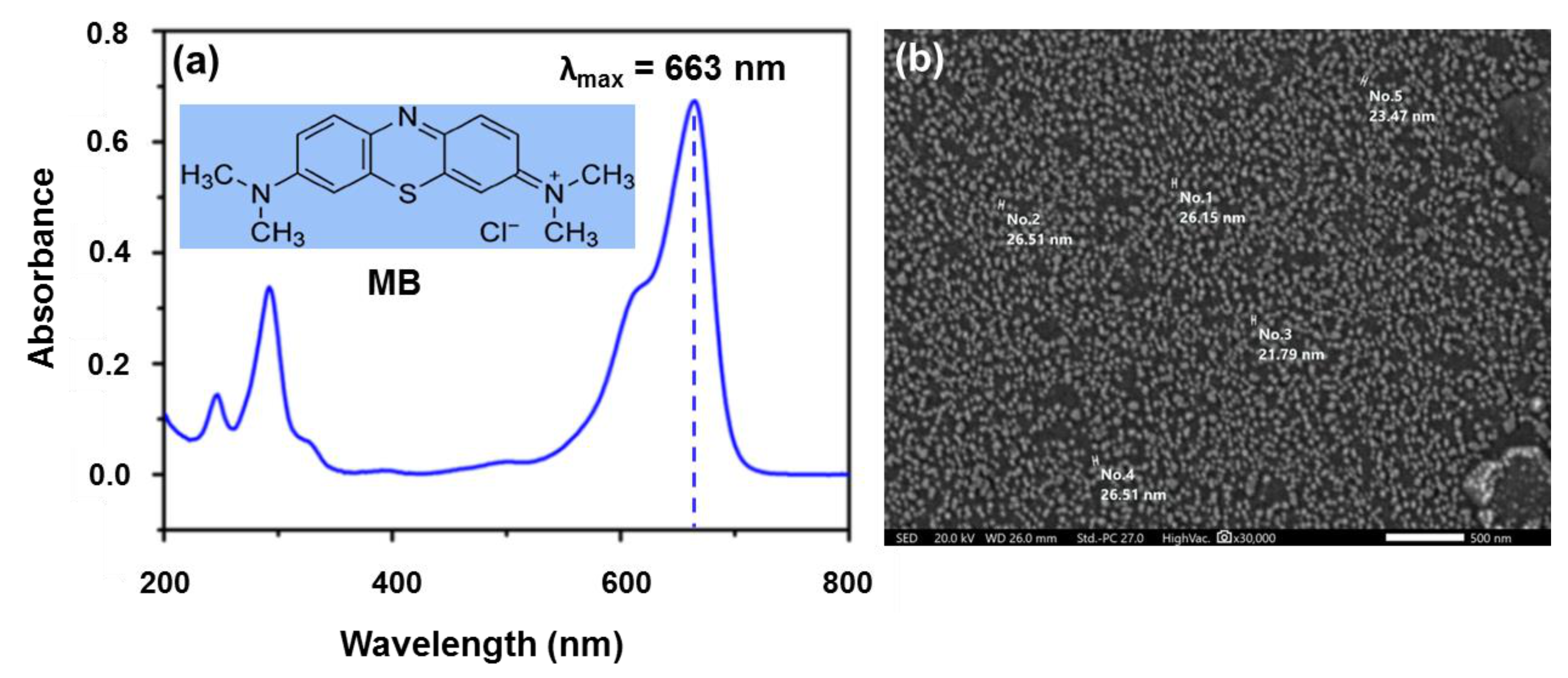Polymers 13 04000 g001