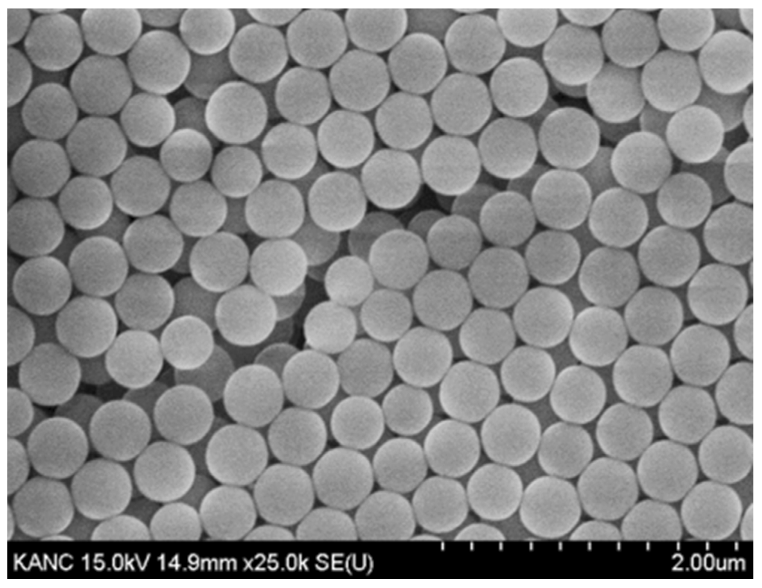 Polymers 13 04003 g001