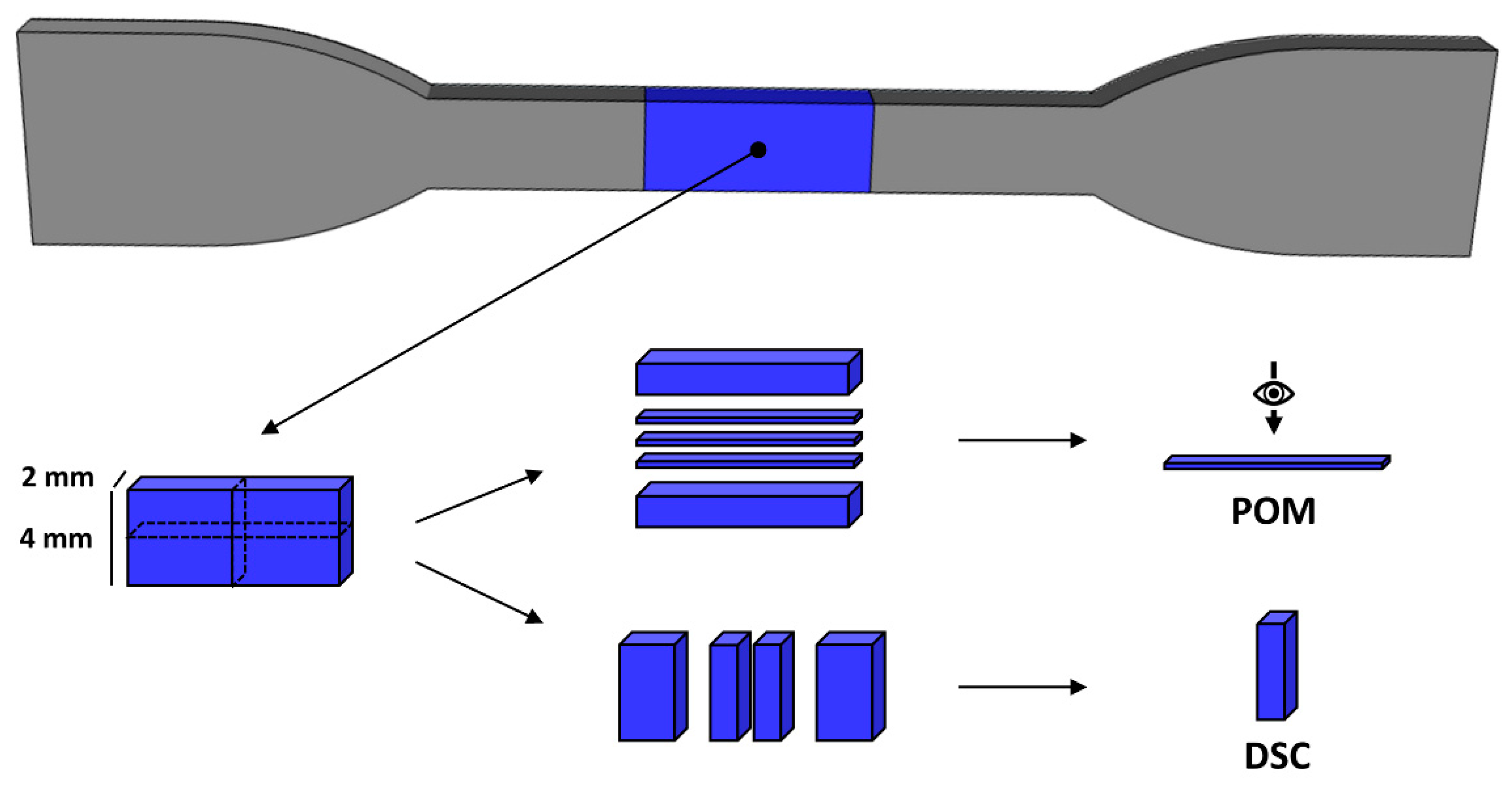 Polymers 13 04012 g002