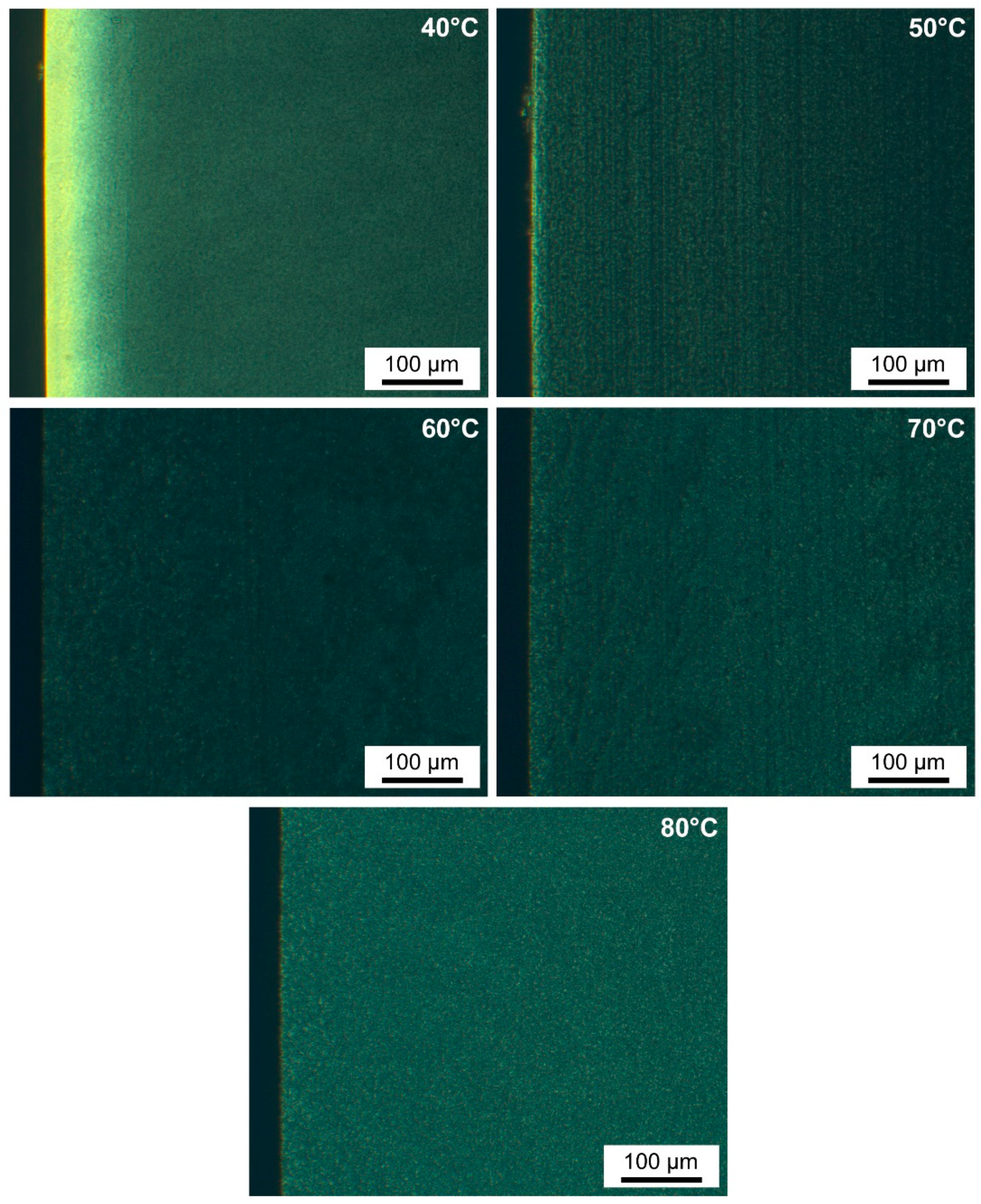 Polymers 13 04012 g008