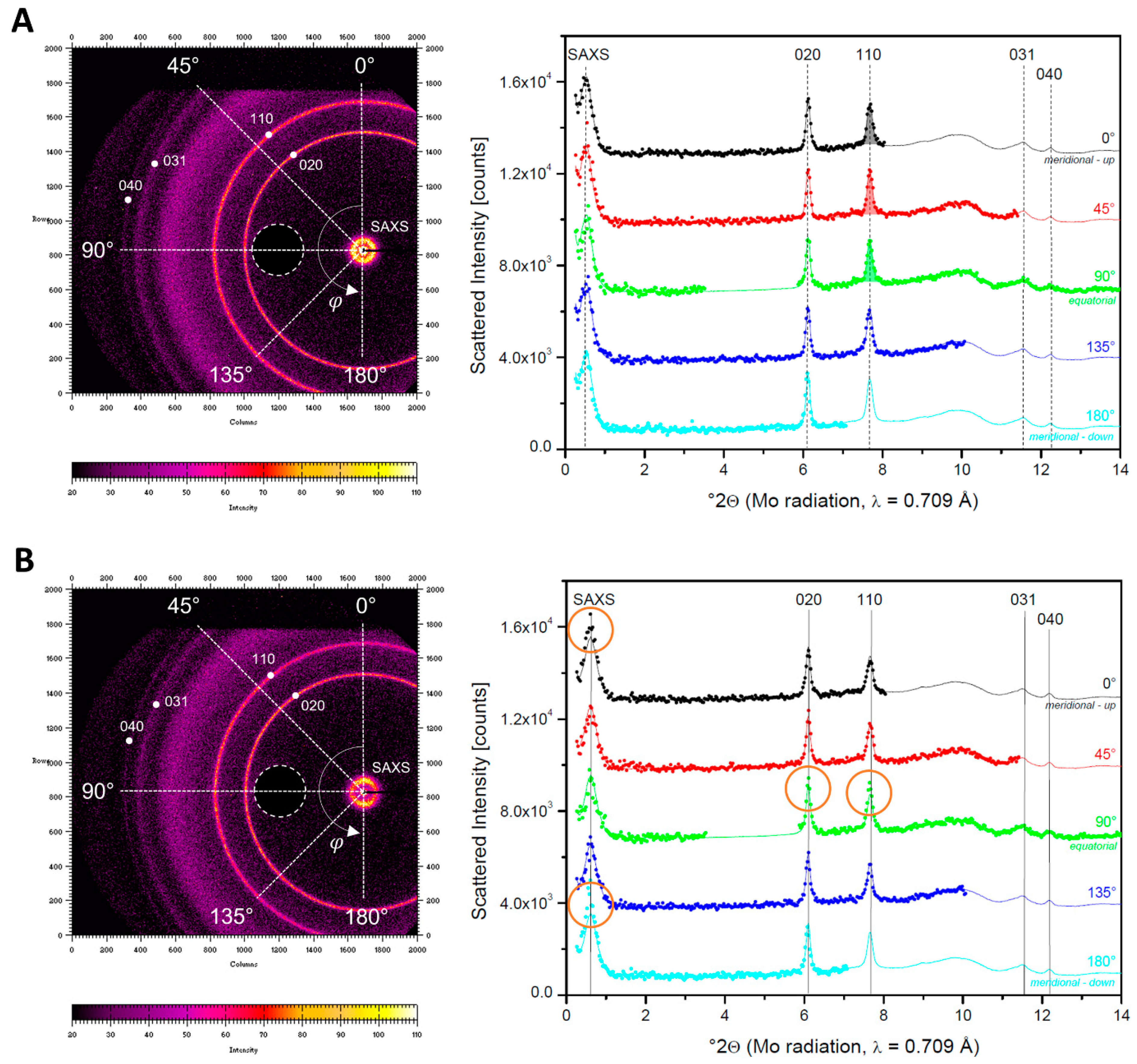 Polymers 13 04012 g009