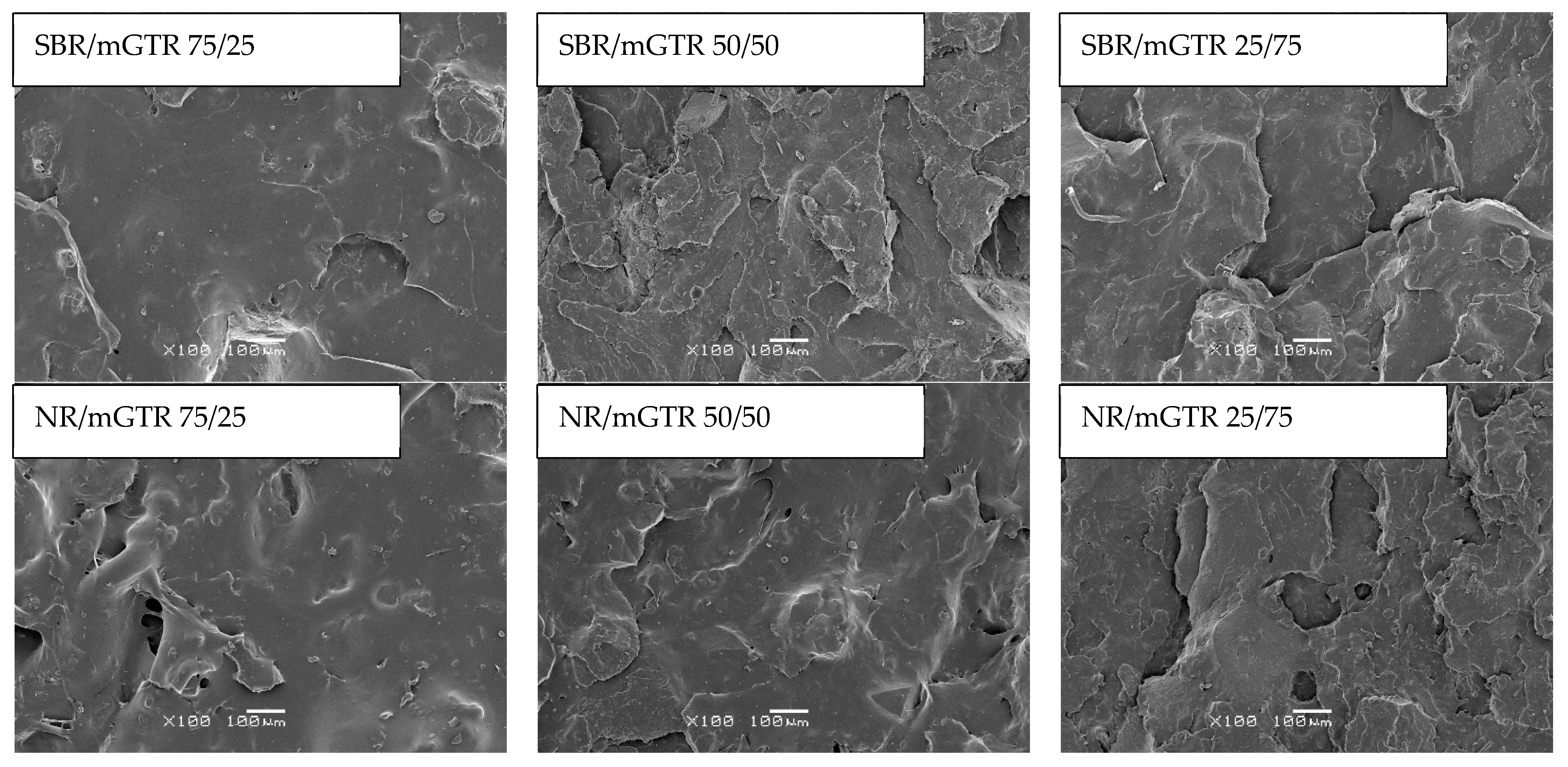 Polymers 13 04014 g006