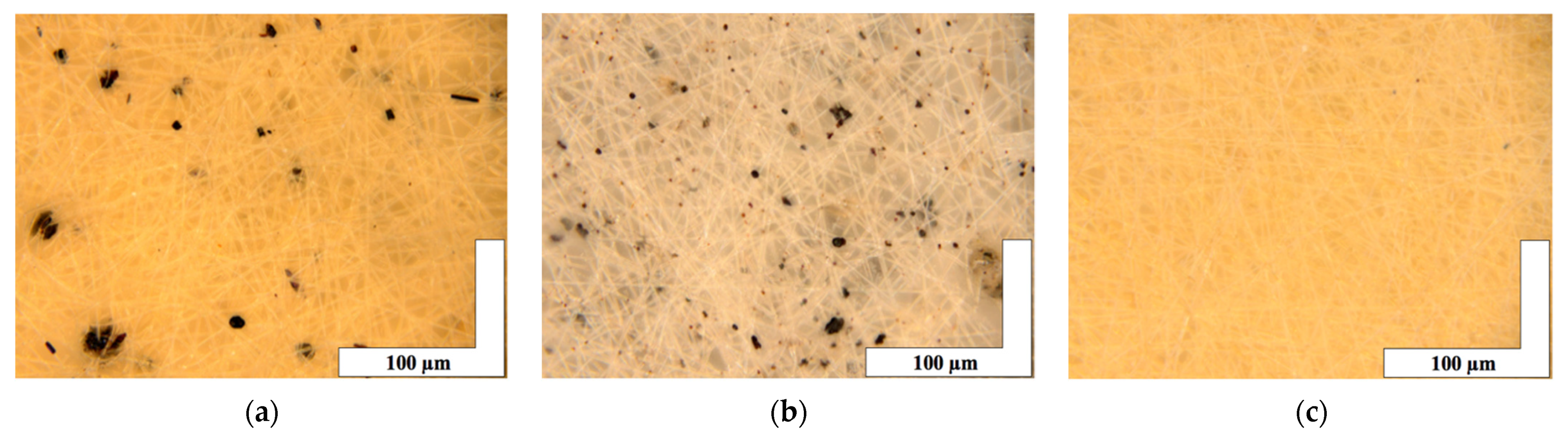 Polymers 13 04024 g002