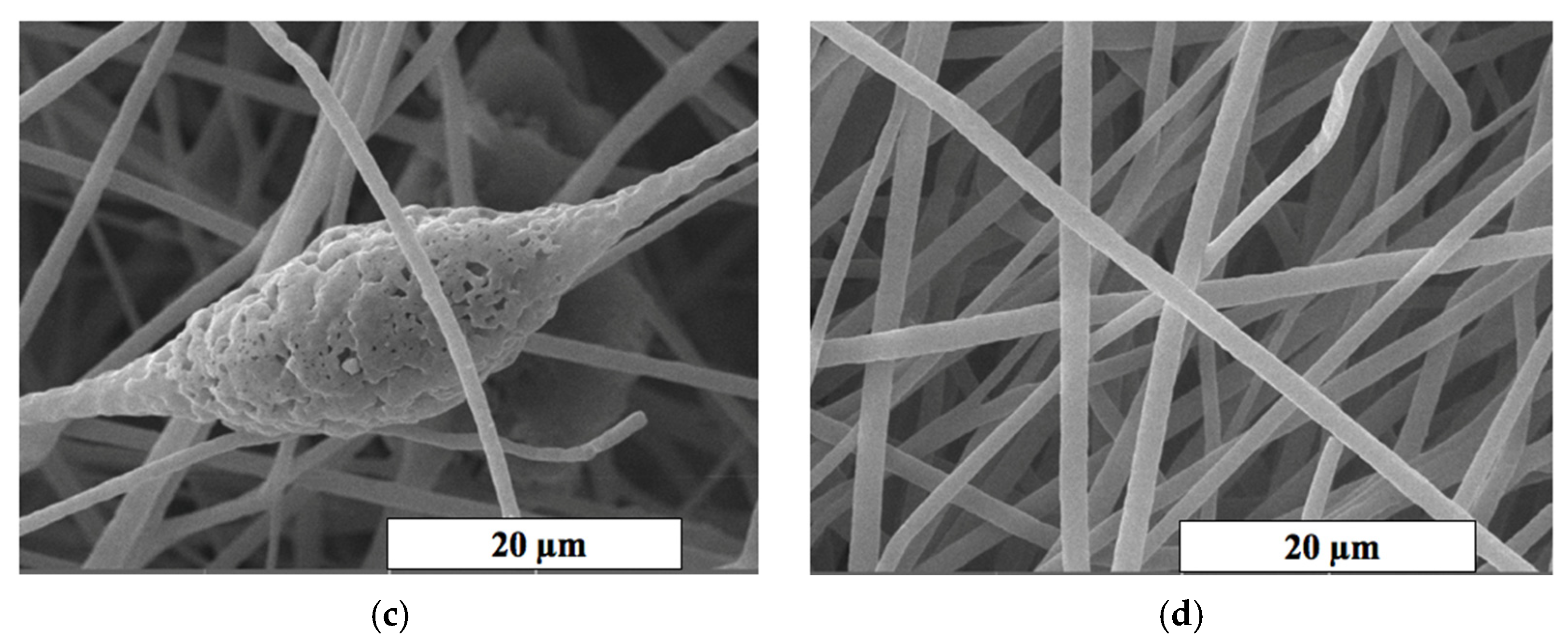 Polymers 13 04024 g003b