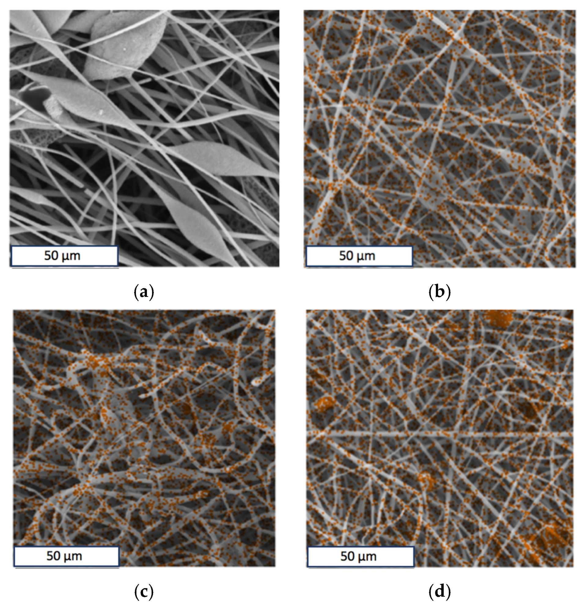 Polymers 13 04024 g004