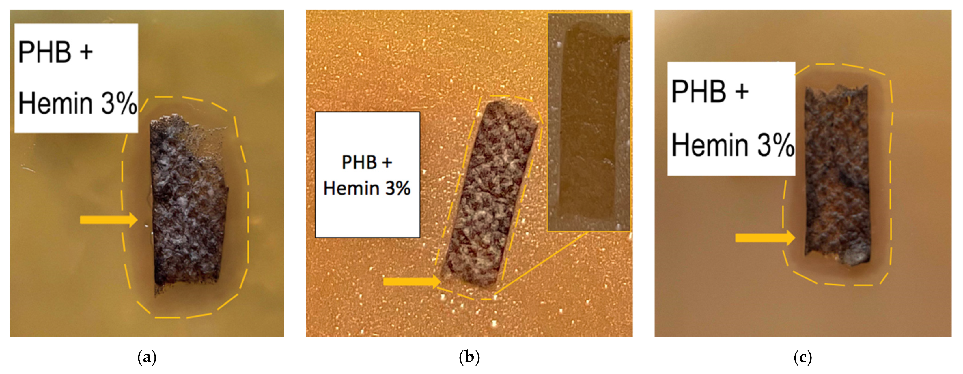 Polymers 13 04024 g009a