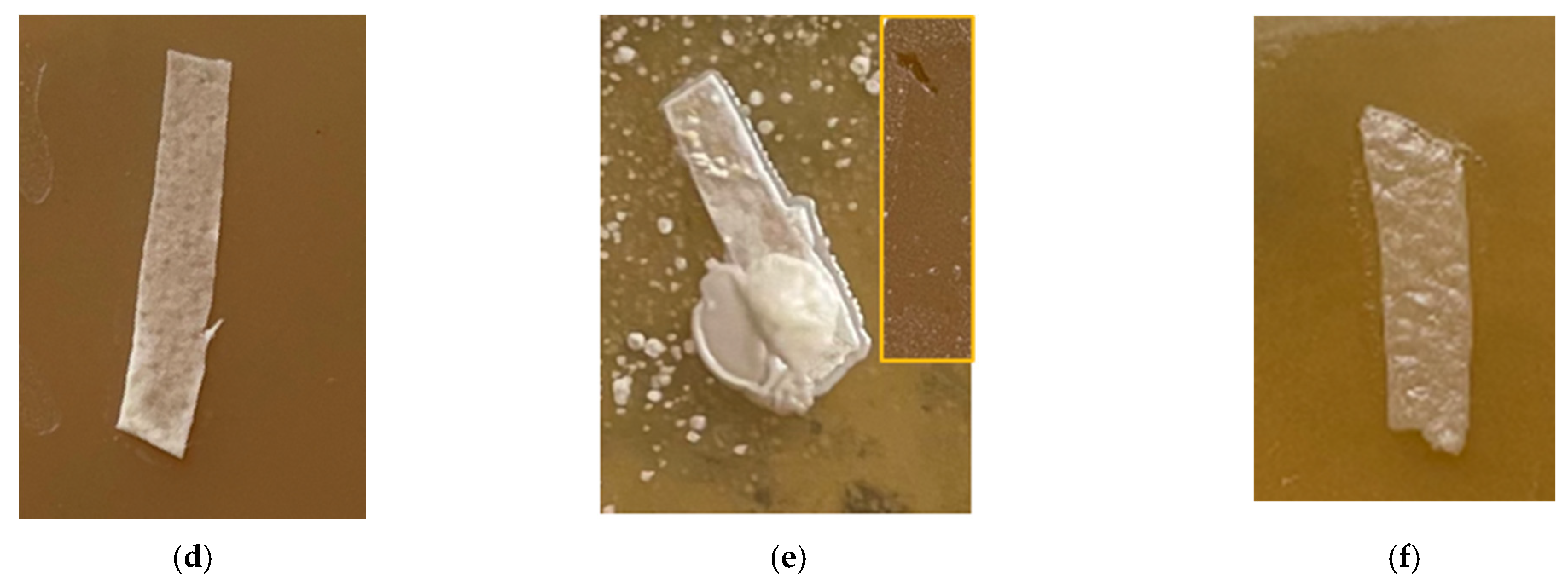 Polymers 13 04024 g009b