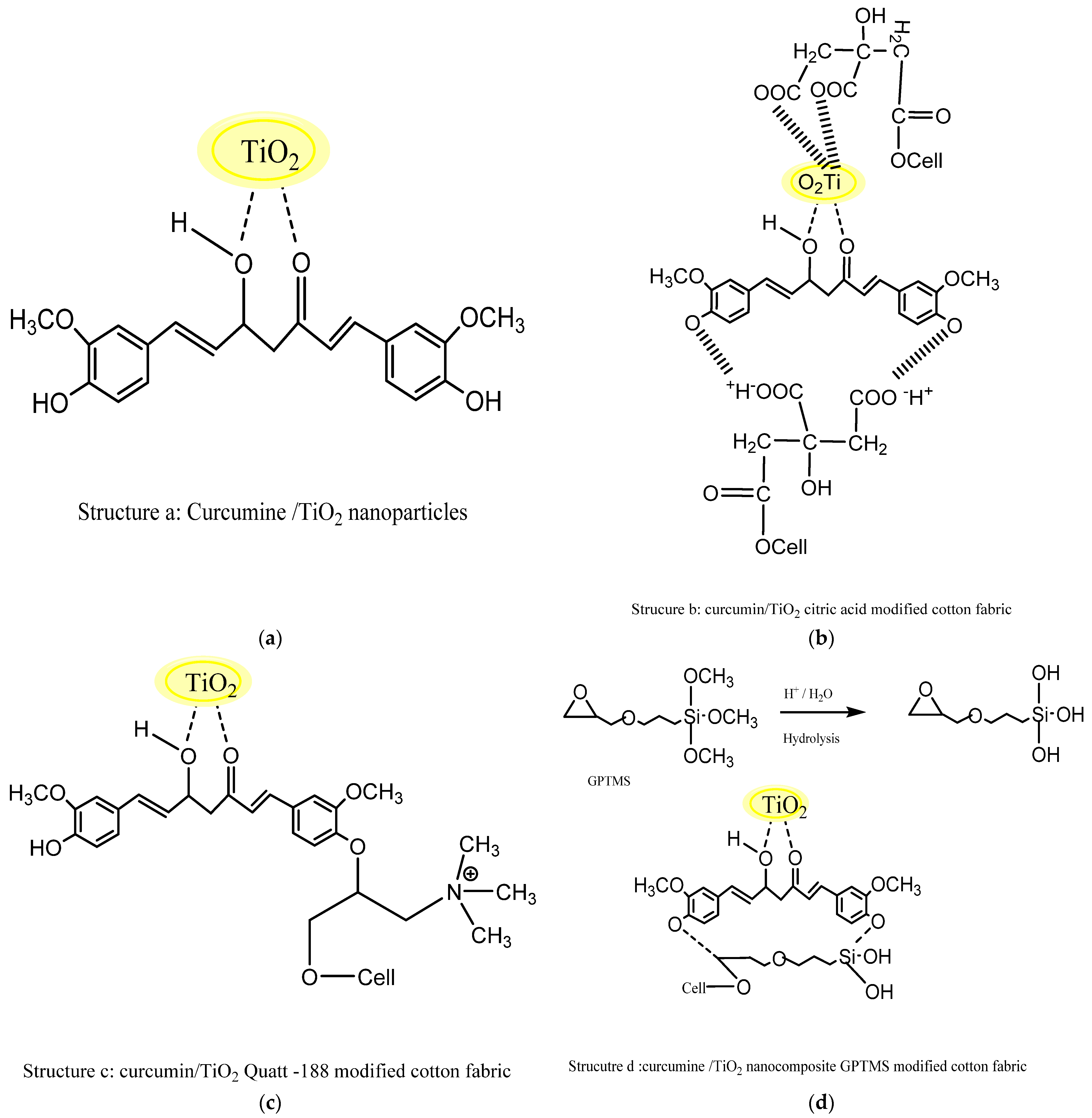 Polymers 13 04027 g001
