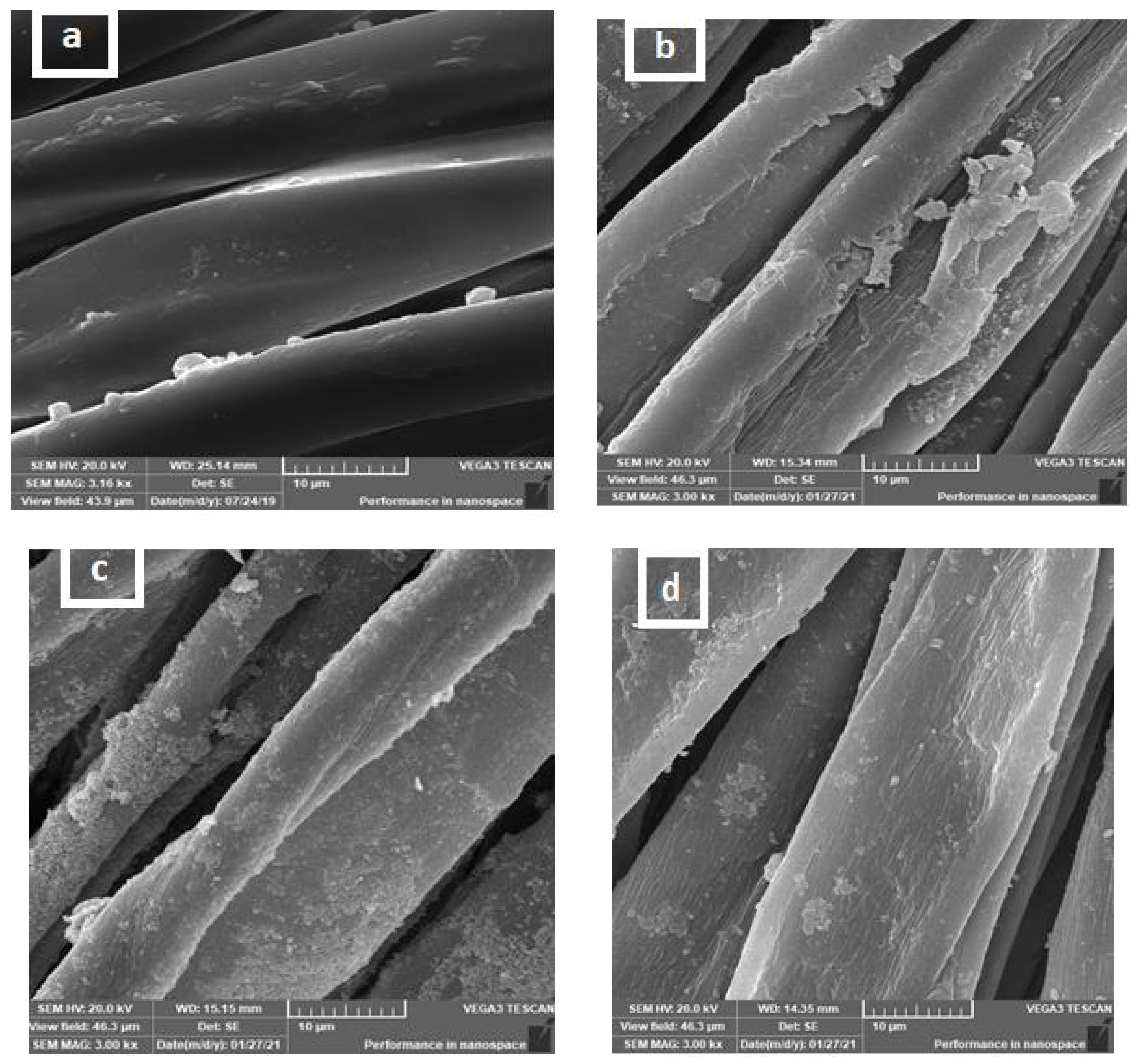 Polymers 13 04027 g003