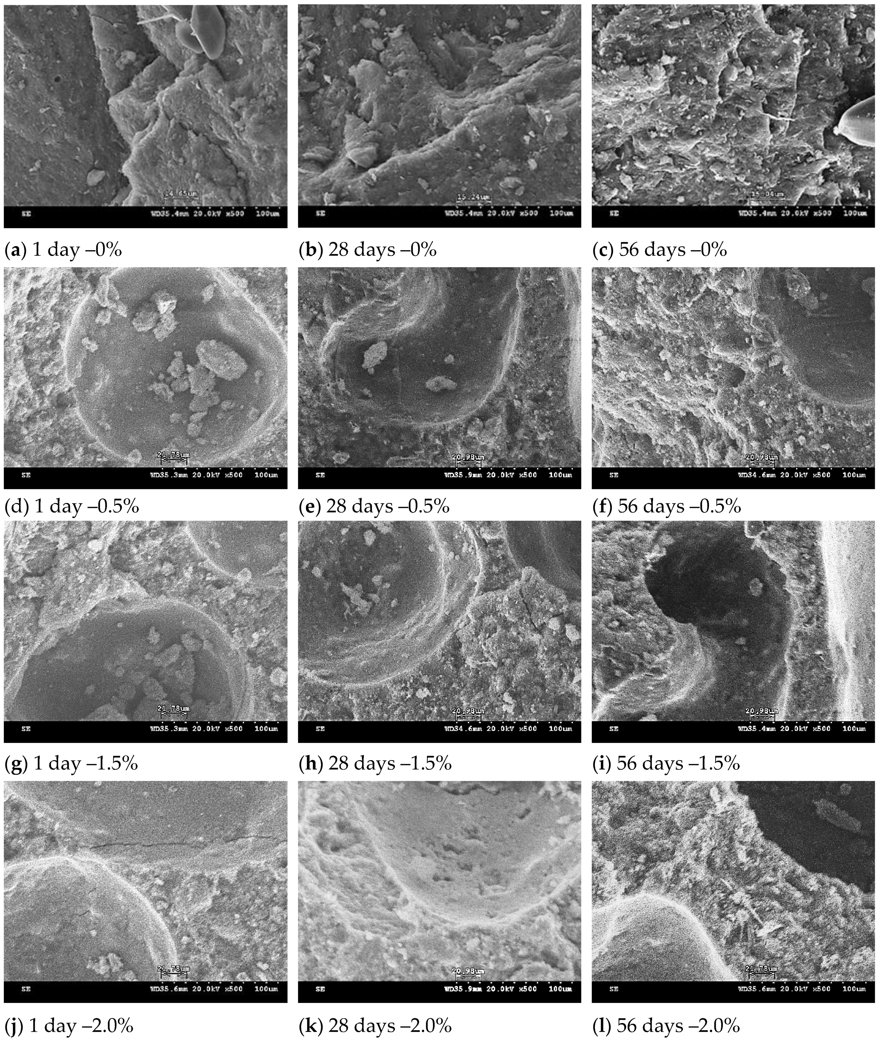 Polymers 13 04029 g006