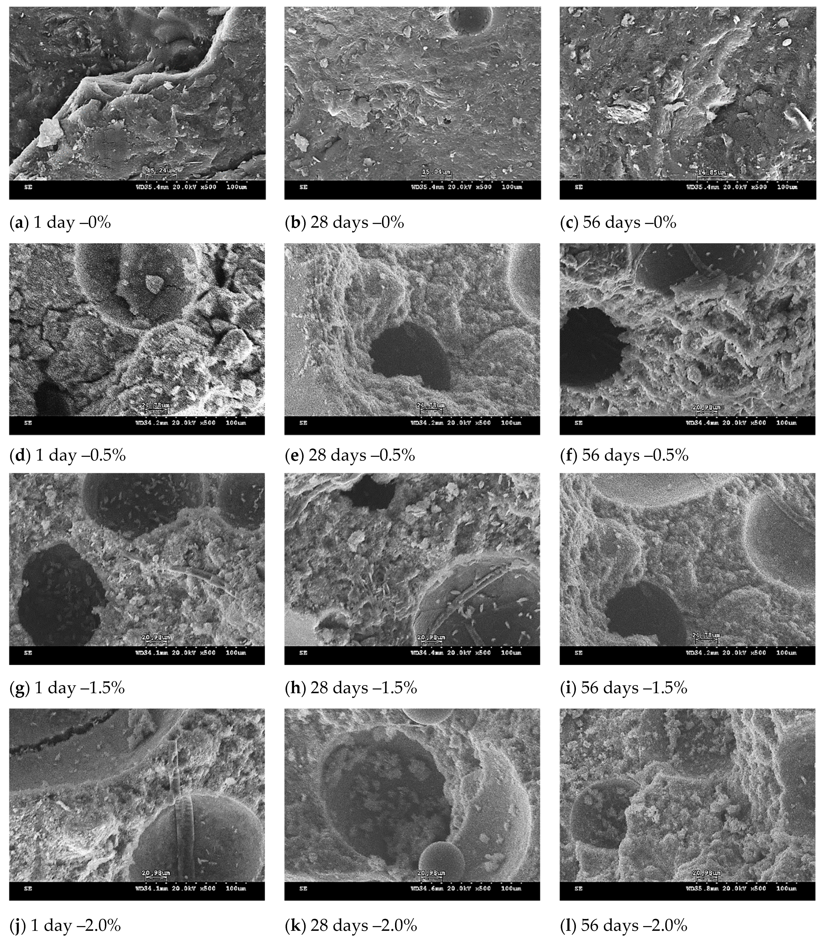 Polymers 13 04029 g007