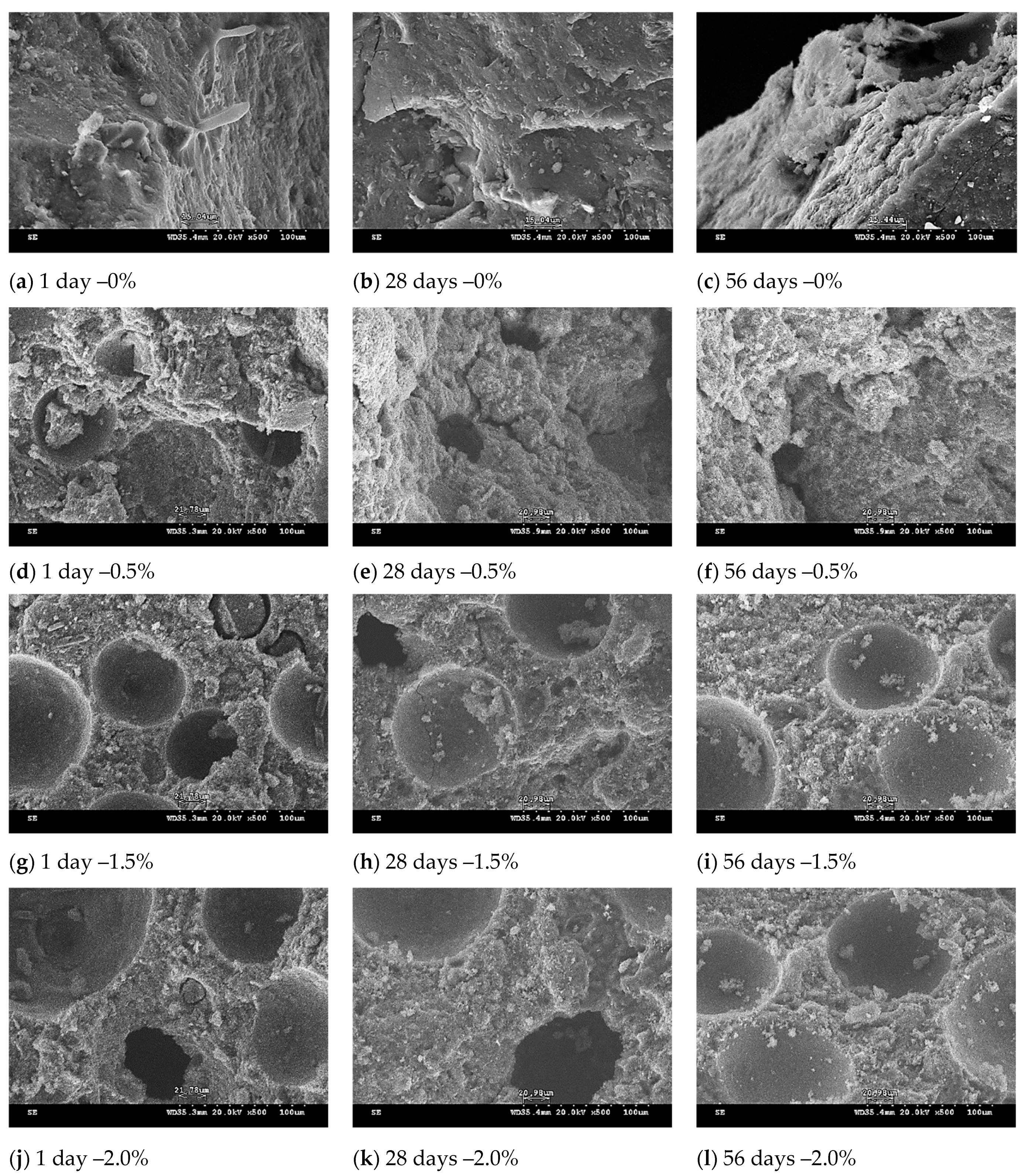 Polymers 13 04029 g008