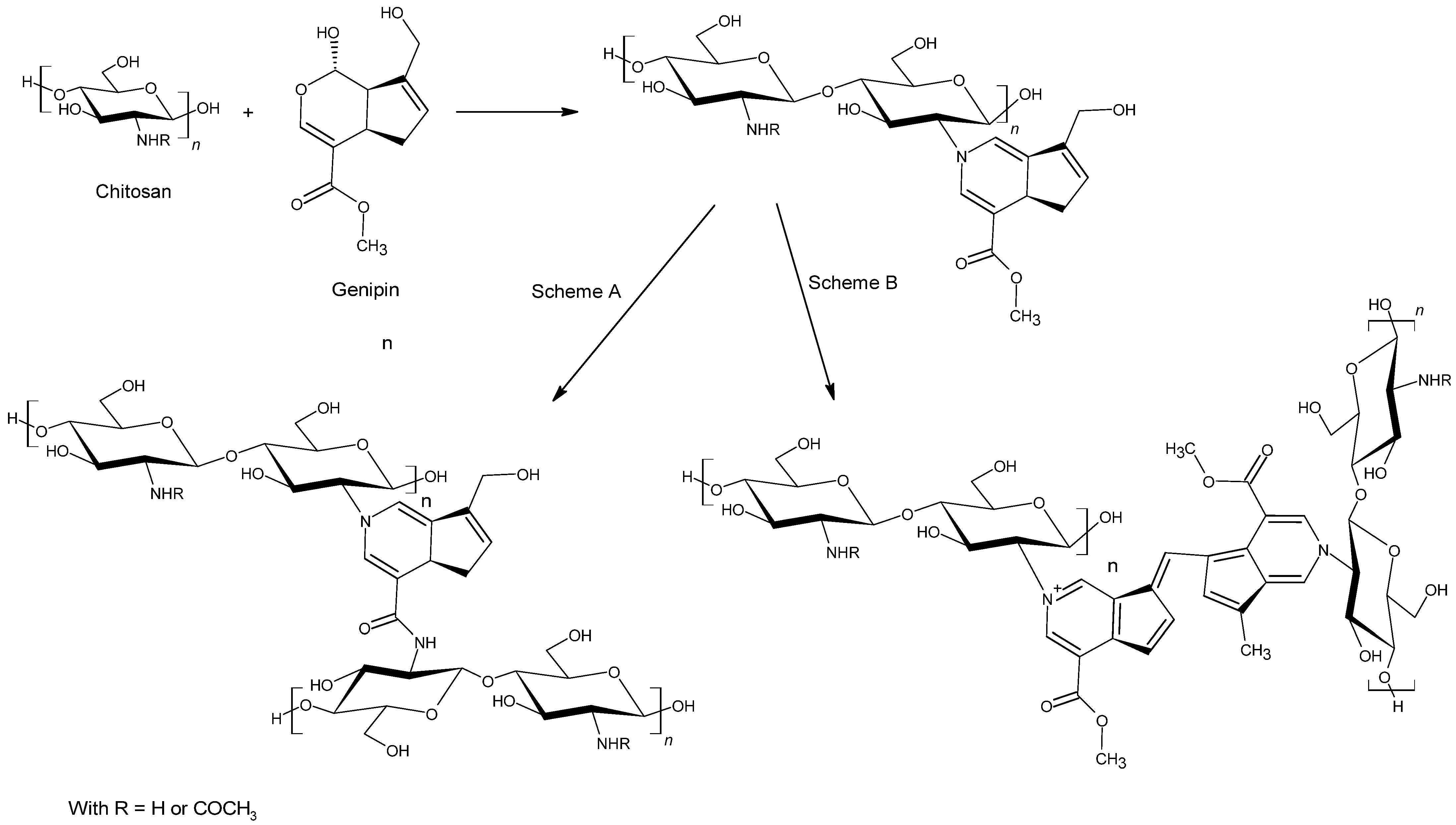 Polymers 13 04031 g003 Polymers 13 04031 g003
