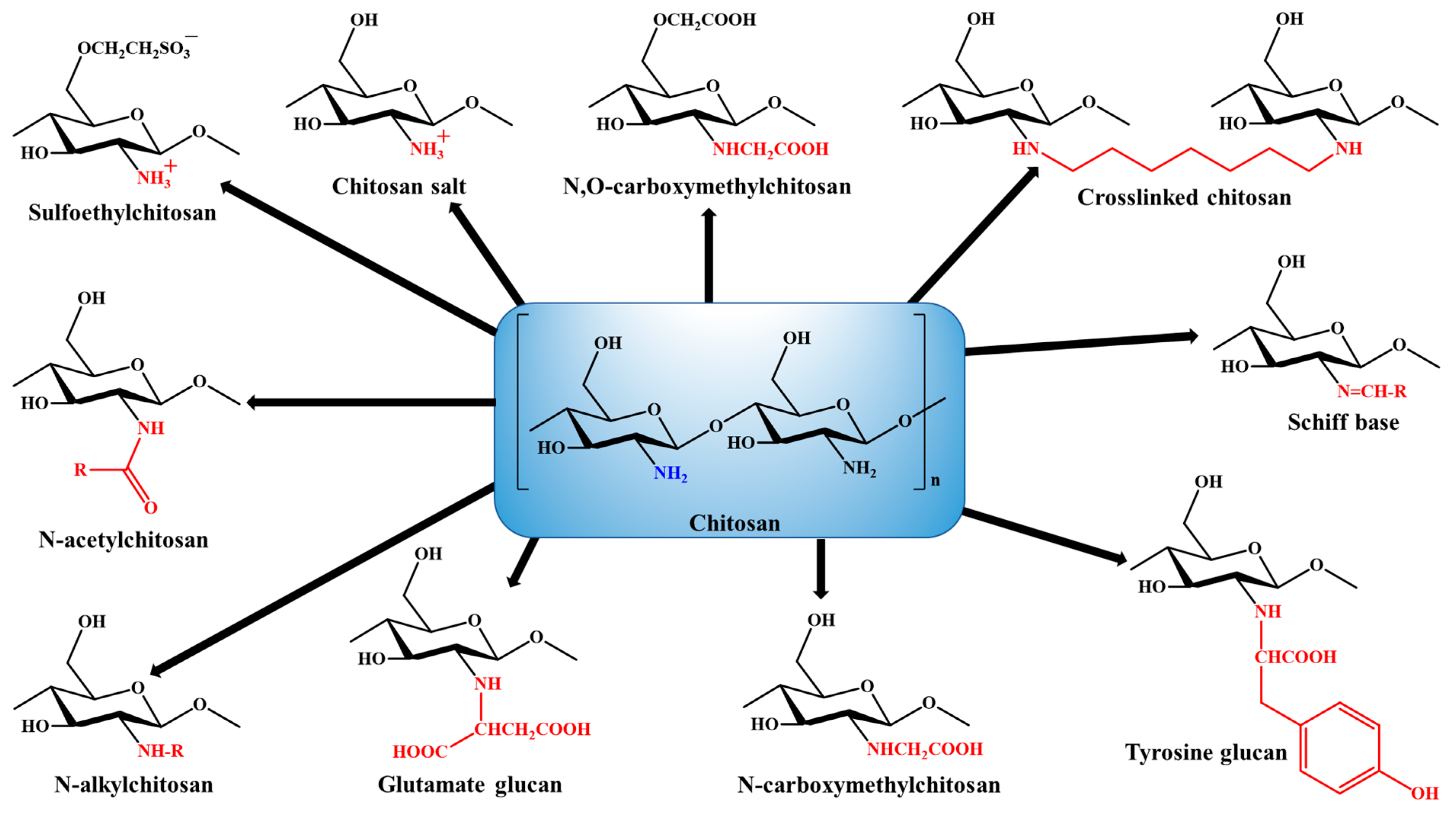 Polymers 13 04036 g003