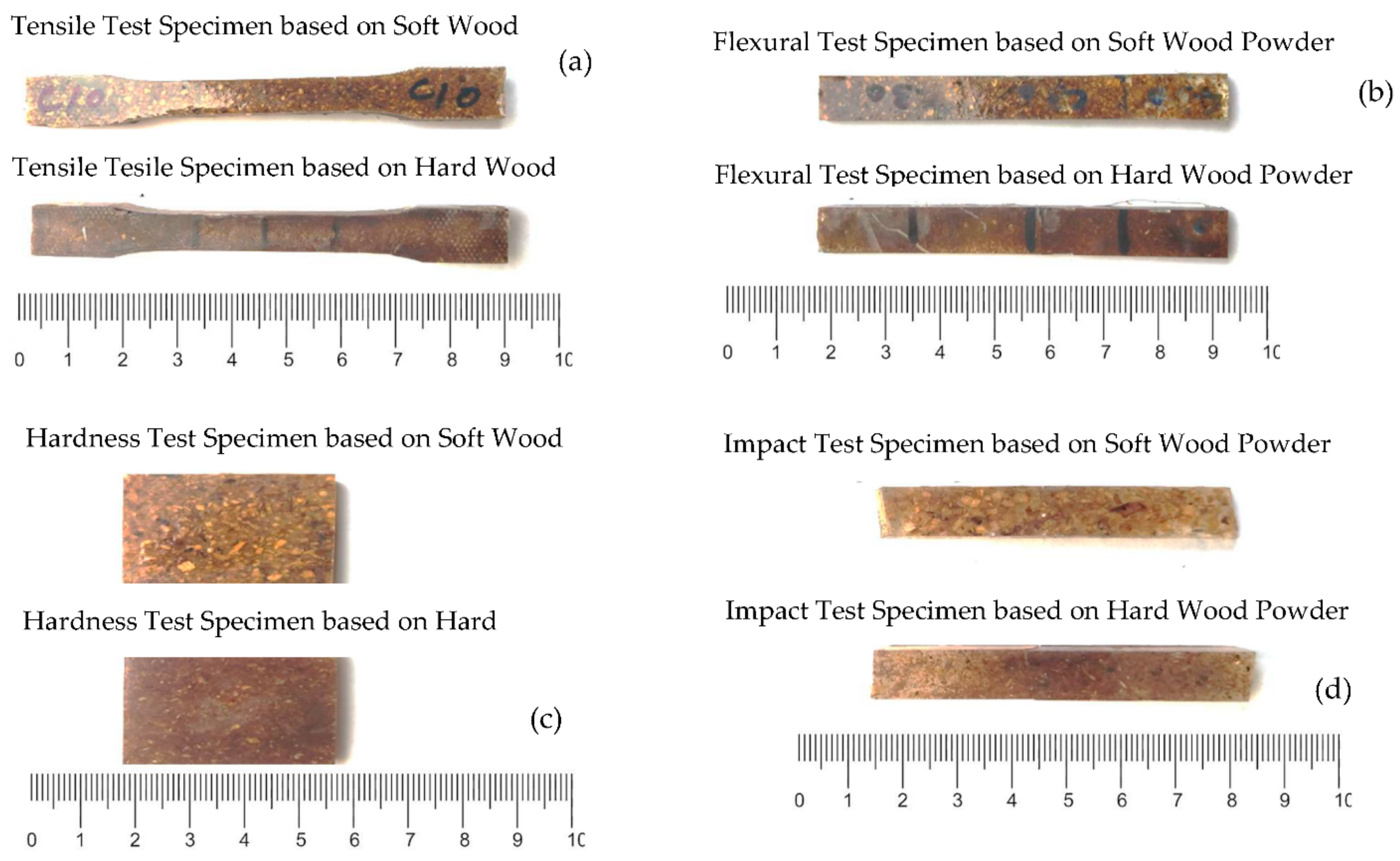 Polymers 13 04038 g004
