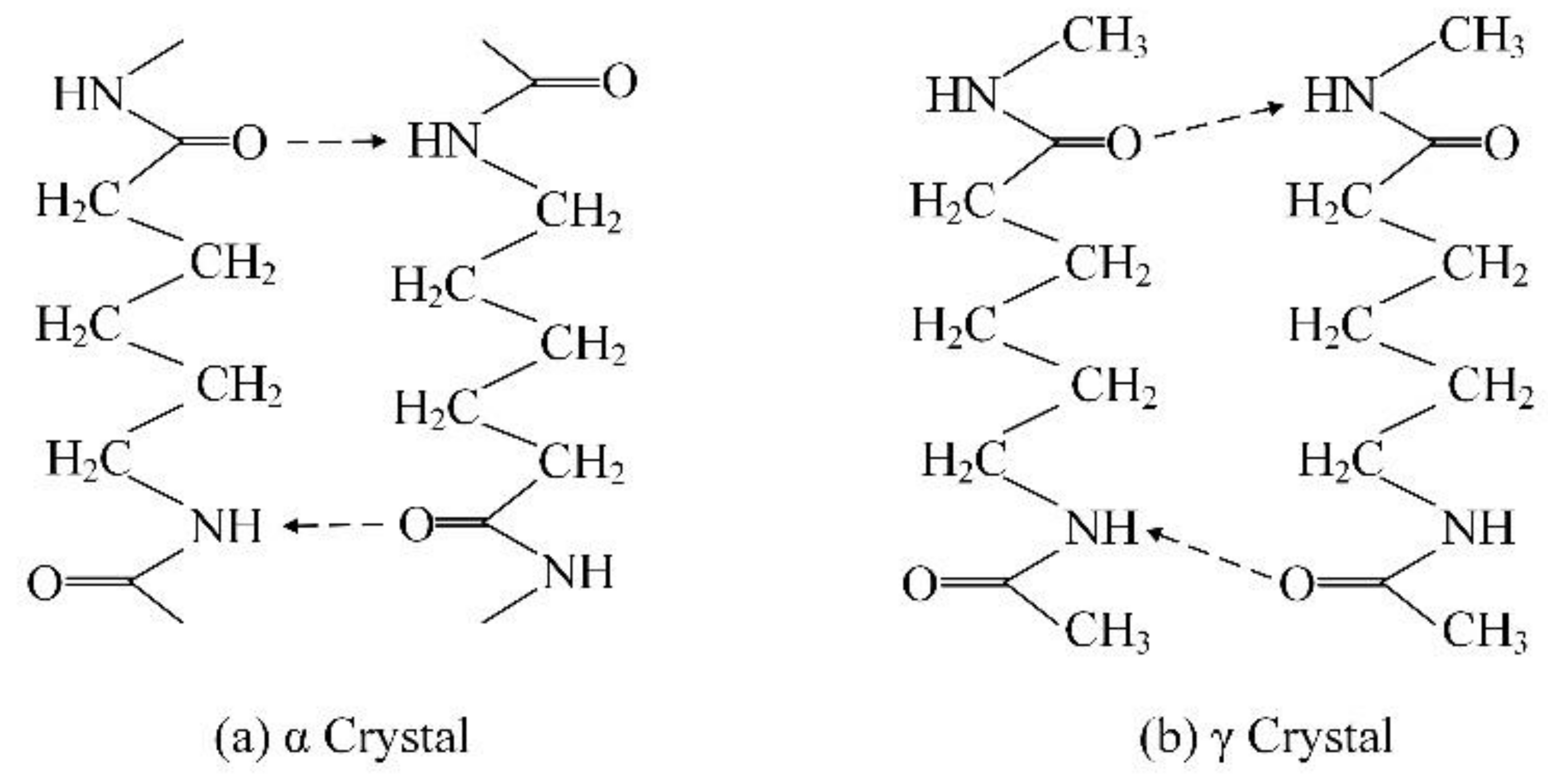 Polymers 13 04039 g006
